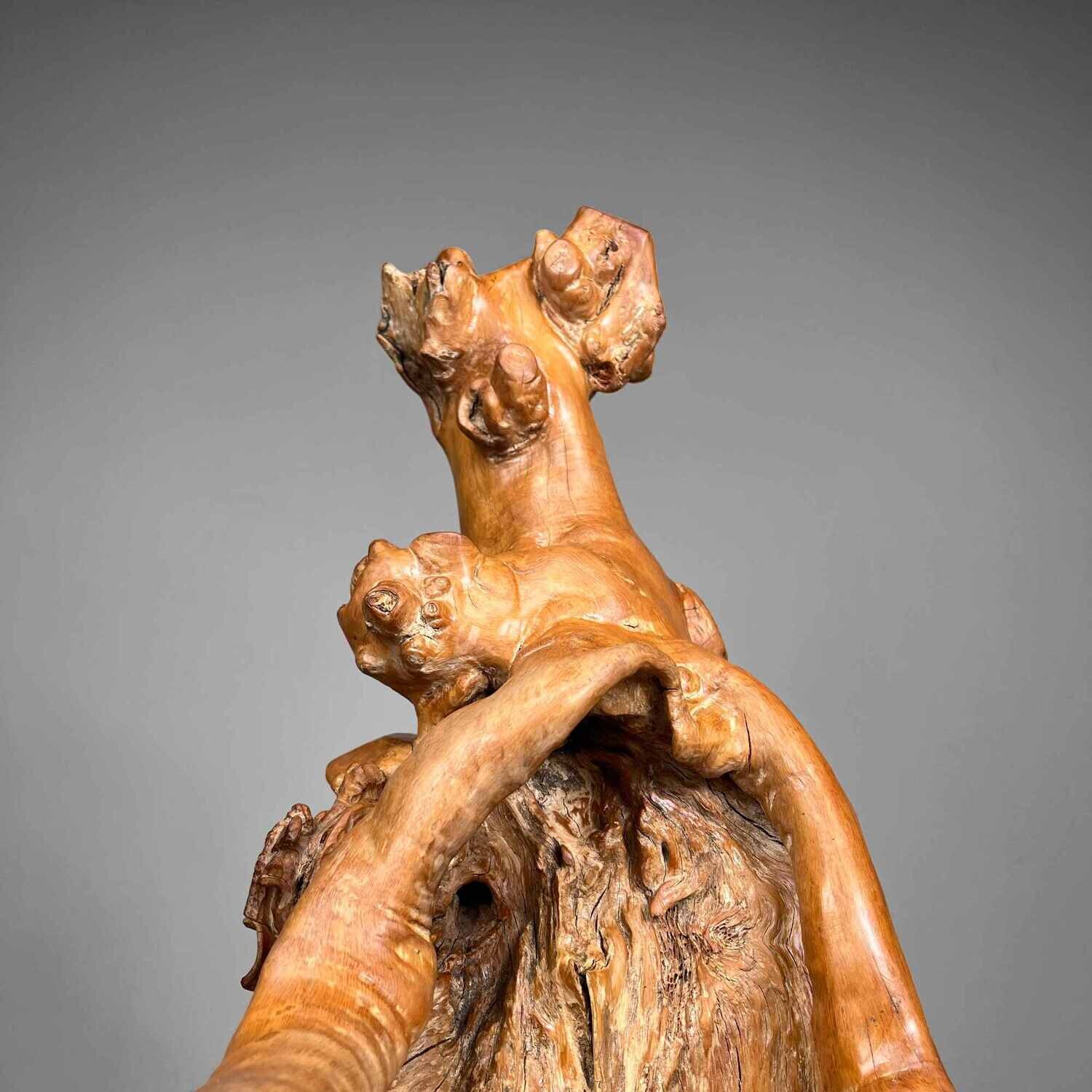 Japanese sculpted Burl Root Wood years Meiji Era