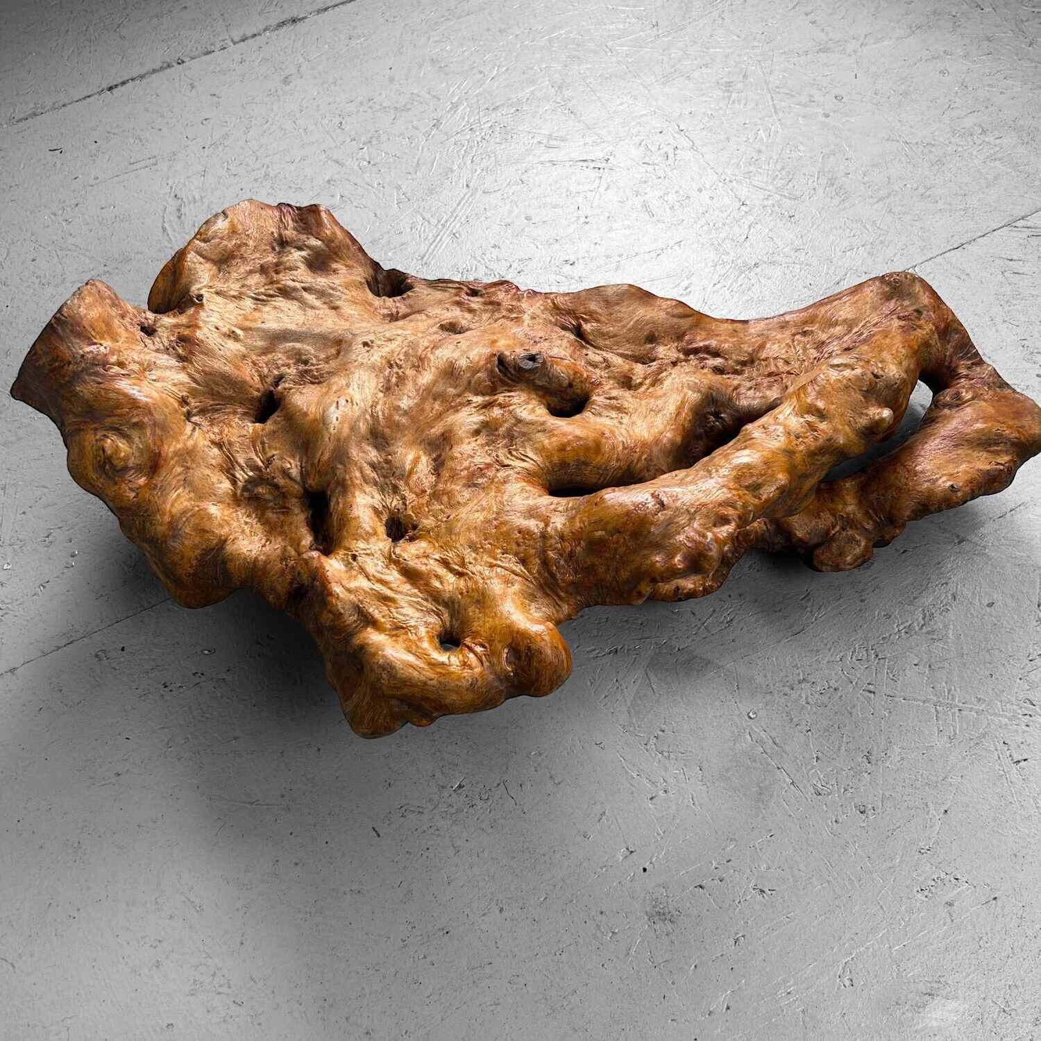 Decorative Yakusugi (屋久杉​)​ Burl Wood from Japan, 1950s