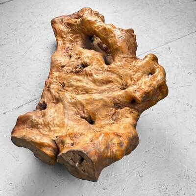Decoratief Yakusugi (屋久杉​)​ Burl Wood Japan jaren '50