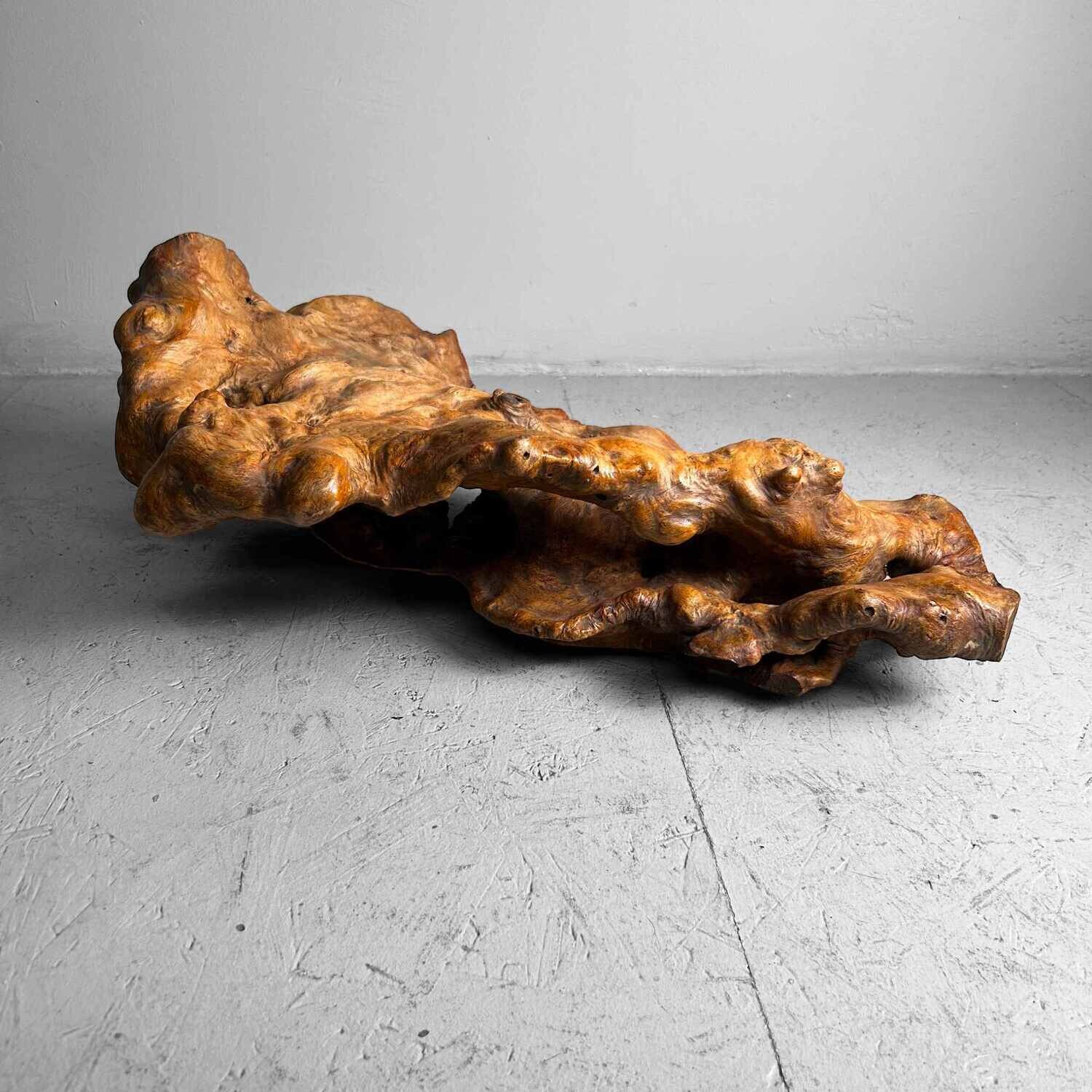 Decorative Yakusugi (屋久杉​)​ Burl Wood from Japan, 1950s