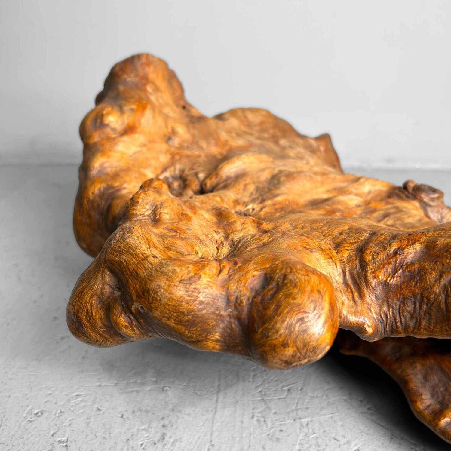 Decorative Yakusugi (屋久杉​)​ Burl Wood from Japan, 1950s