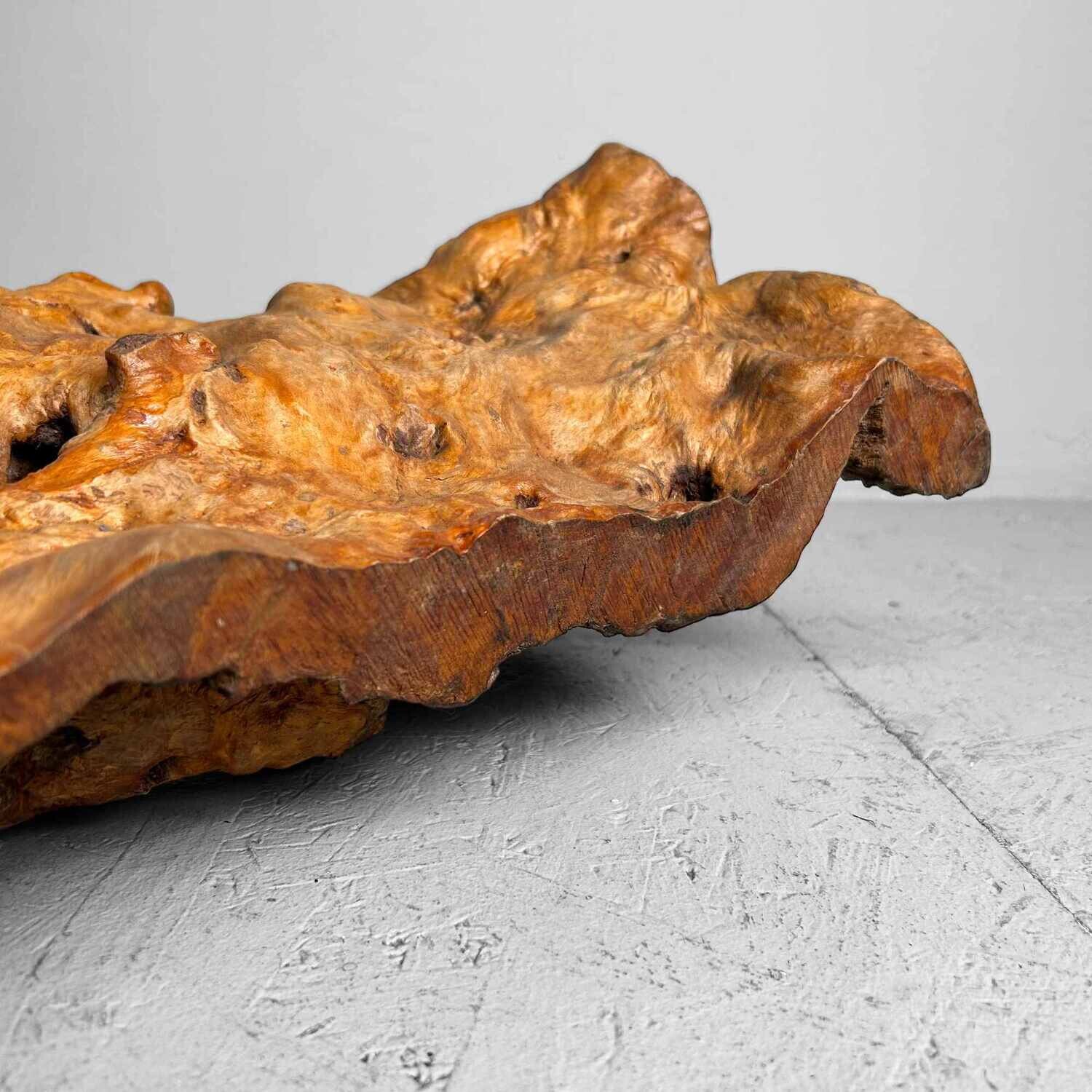 Decorative Yakusugi (屋久杉​)​ Burl Wood from Japan, 1950s