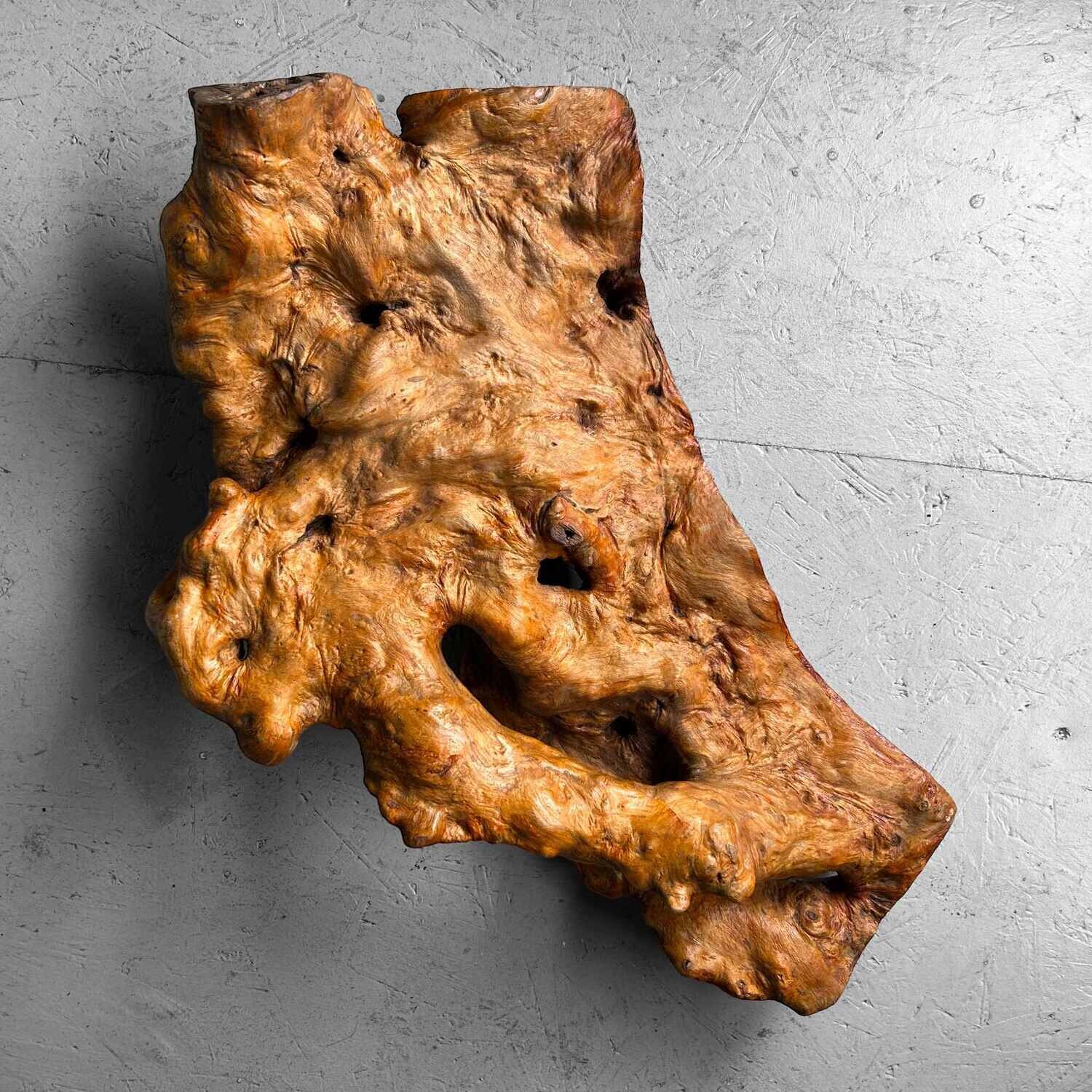 Decorative Yakusugi (屋久杉​)​ Burl Wood from Japan, 1950s