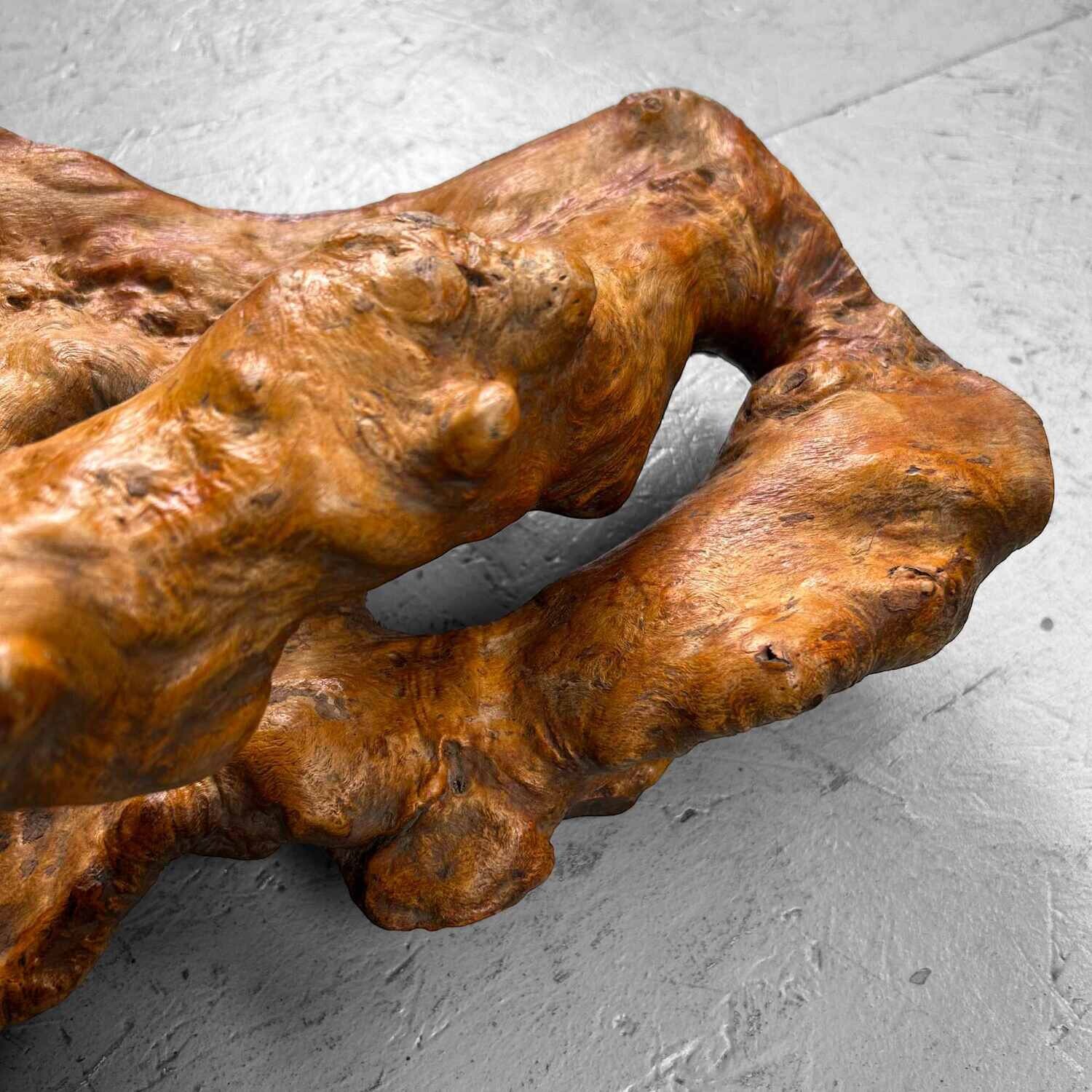 Decorative Yakusugi (屋久杉​)​ Burl Wood from Japan, 1950s