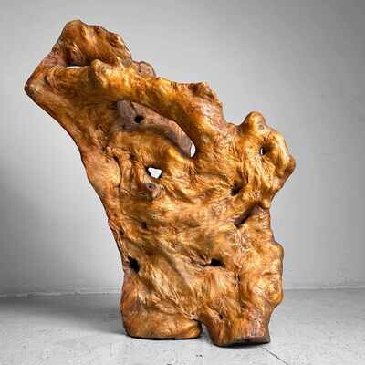 Decorative Yakusugi (屋久杉​)​ Burl Wood from Japan, 1950s