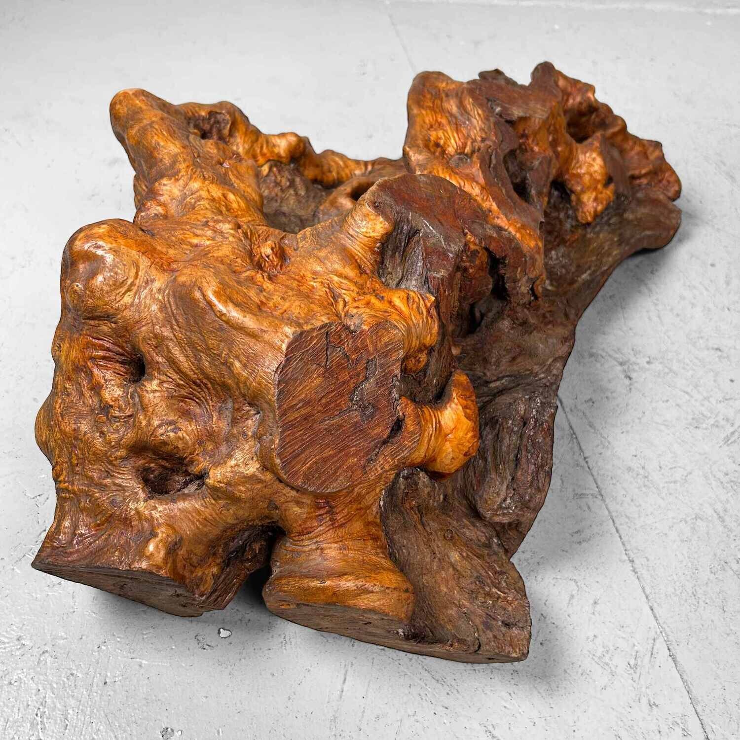 Decorative Yakusugi (屋久杉​)​ Burl Wood from Japan, 1950s