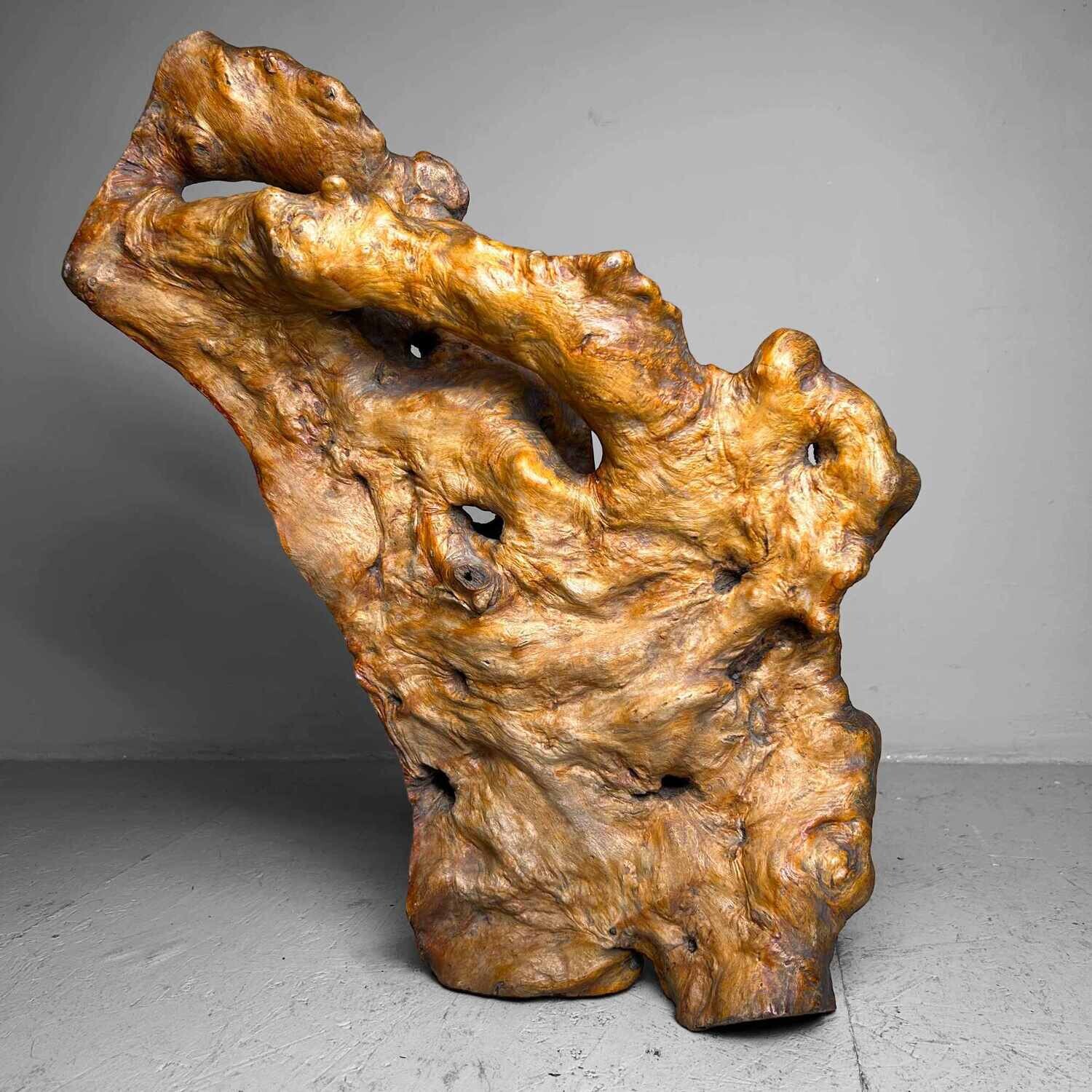 Decorative Yakusugi (屋久杉​)​ Burl Wood from Japan, 1950s