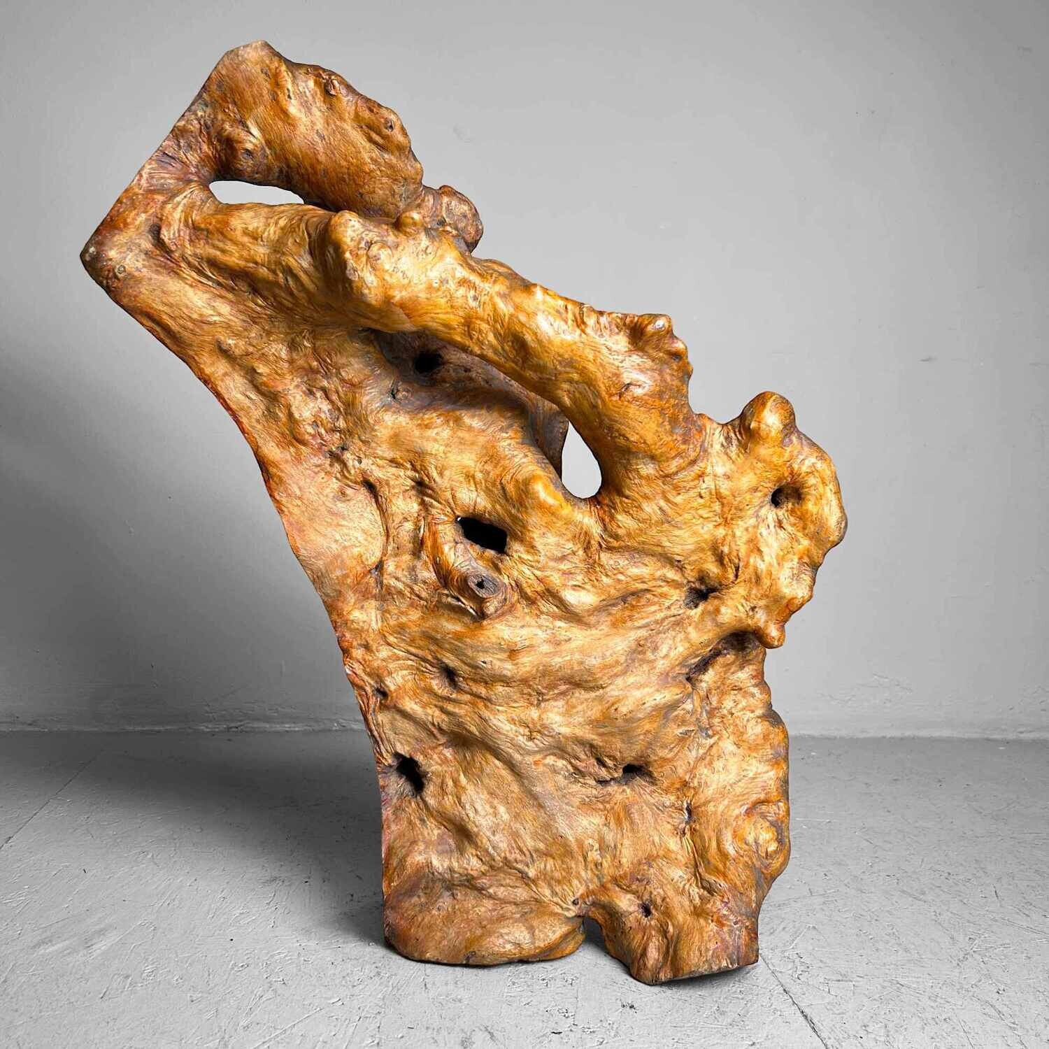 Decorative Yakusugi (屋久杉​)​ Burl Wood from Japan, 1950s
