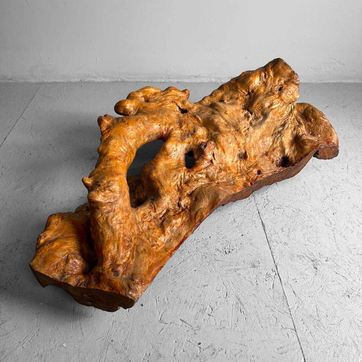 Decorative Yakusugi (屋久杉​)​ Burl Wood from Japan, 1950s