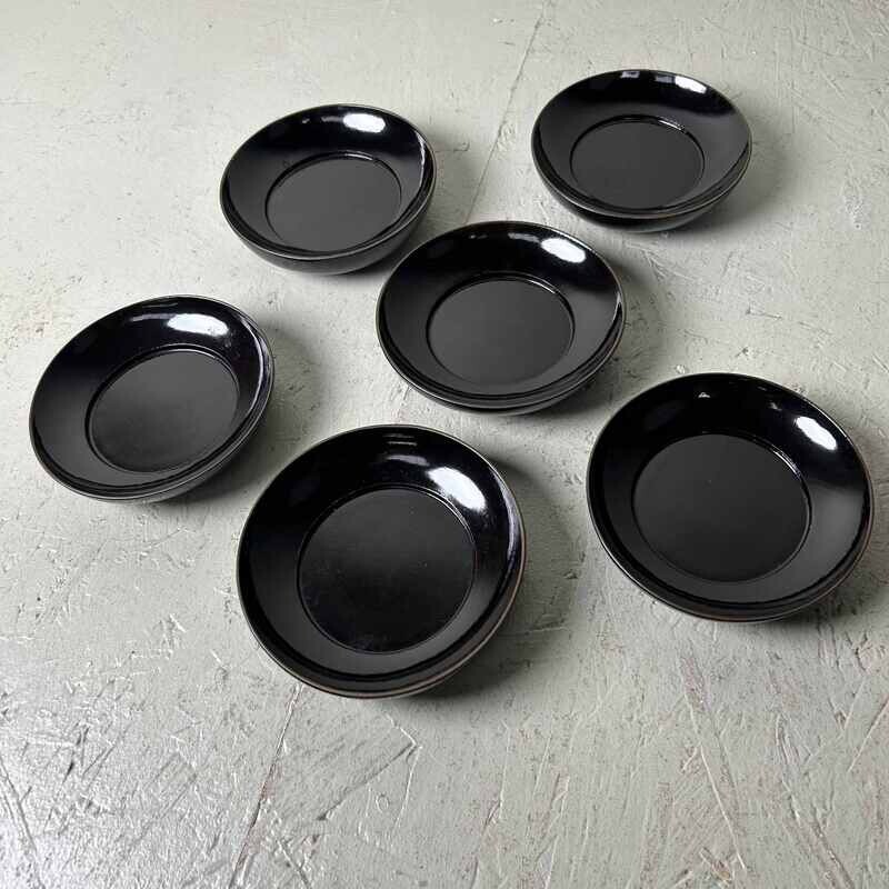 Japanese Utsuwa (器) Lacquered Wooden Plate Set (6) from the Meiji Period.