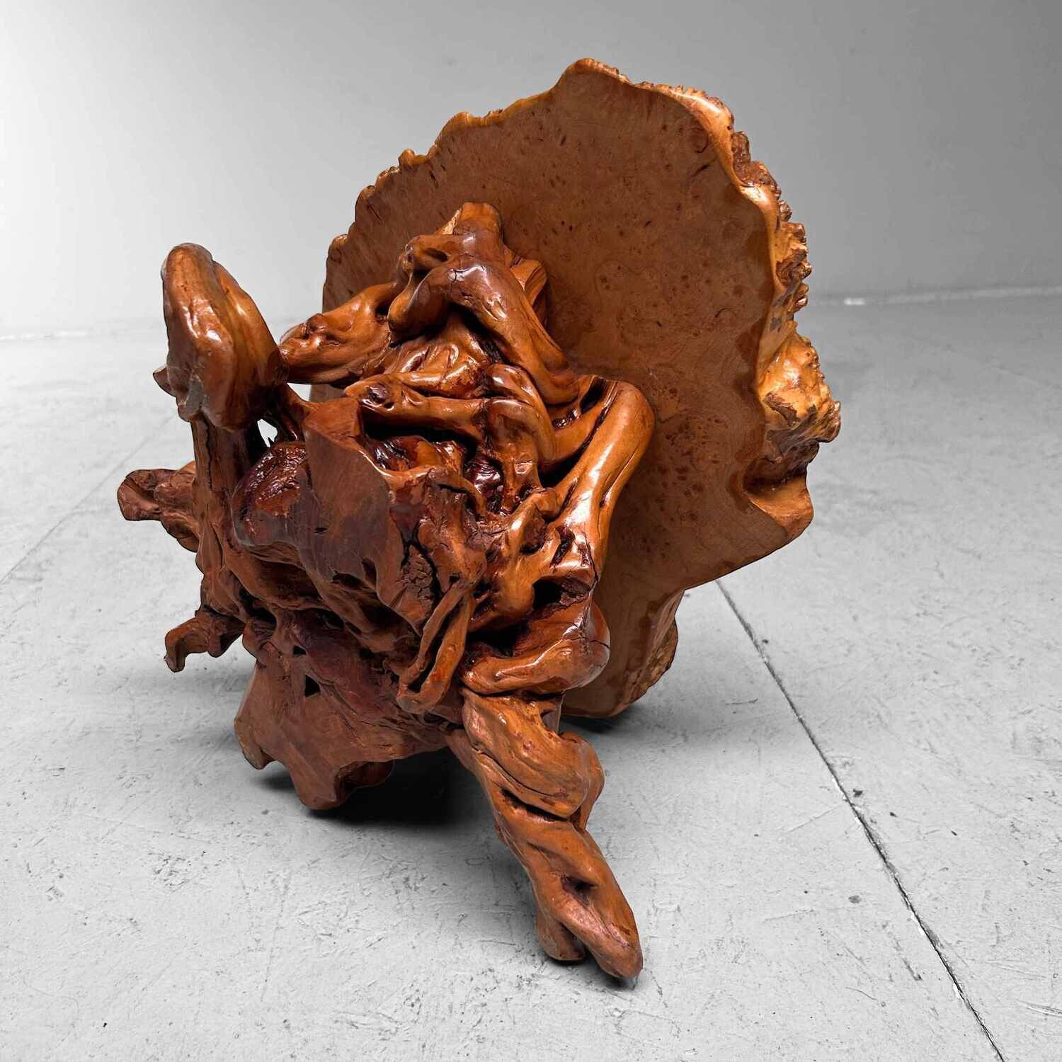 Mid Century Yakusugi (屋久杉​) Burl Wood Plant Stand Japan