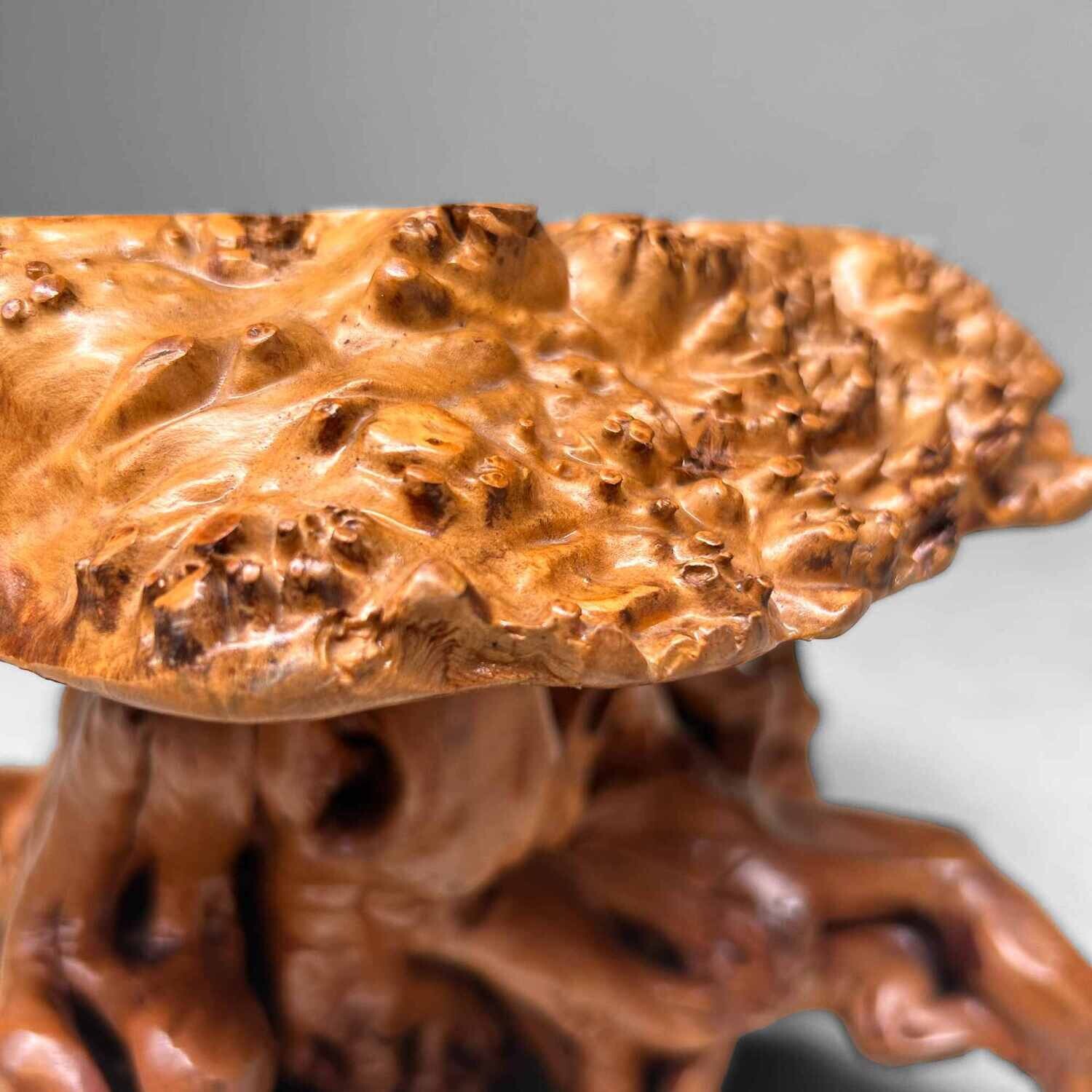 Mid Century Yakusugi (屋久杉​) Burl Wood Plant Stand Japan