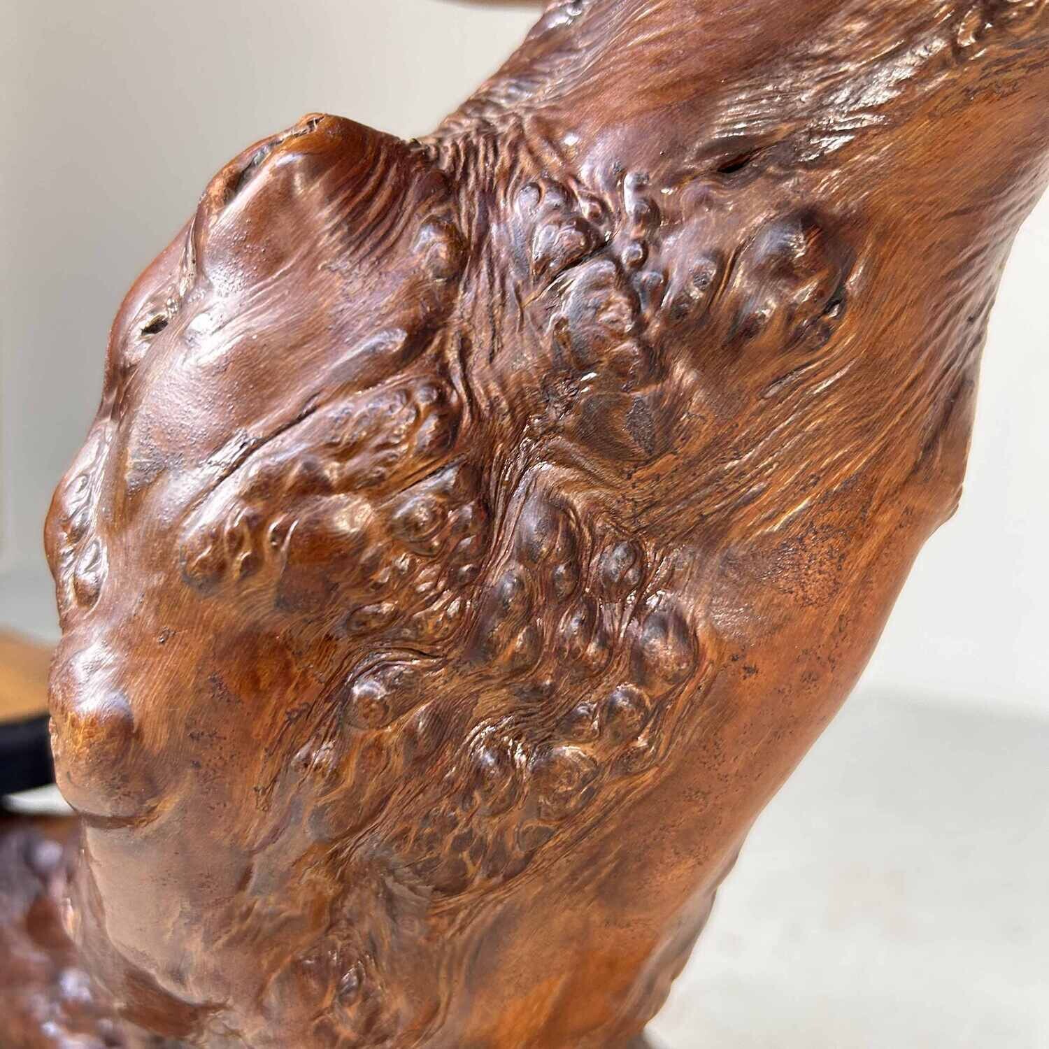 Japanese Burl Wood Plant Stand from the Taishō Period. Japanese Burl Wood Plant Stand from the Taishō Period.