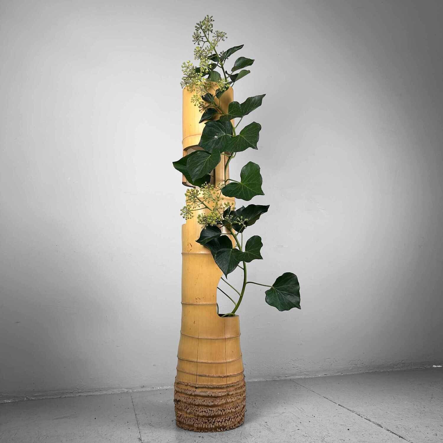 Mid Century Bamboo Ikebana 'San-Ju-Giri' Vase, Circa 1950s, Japan