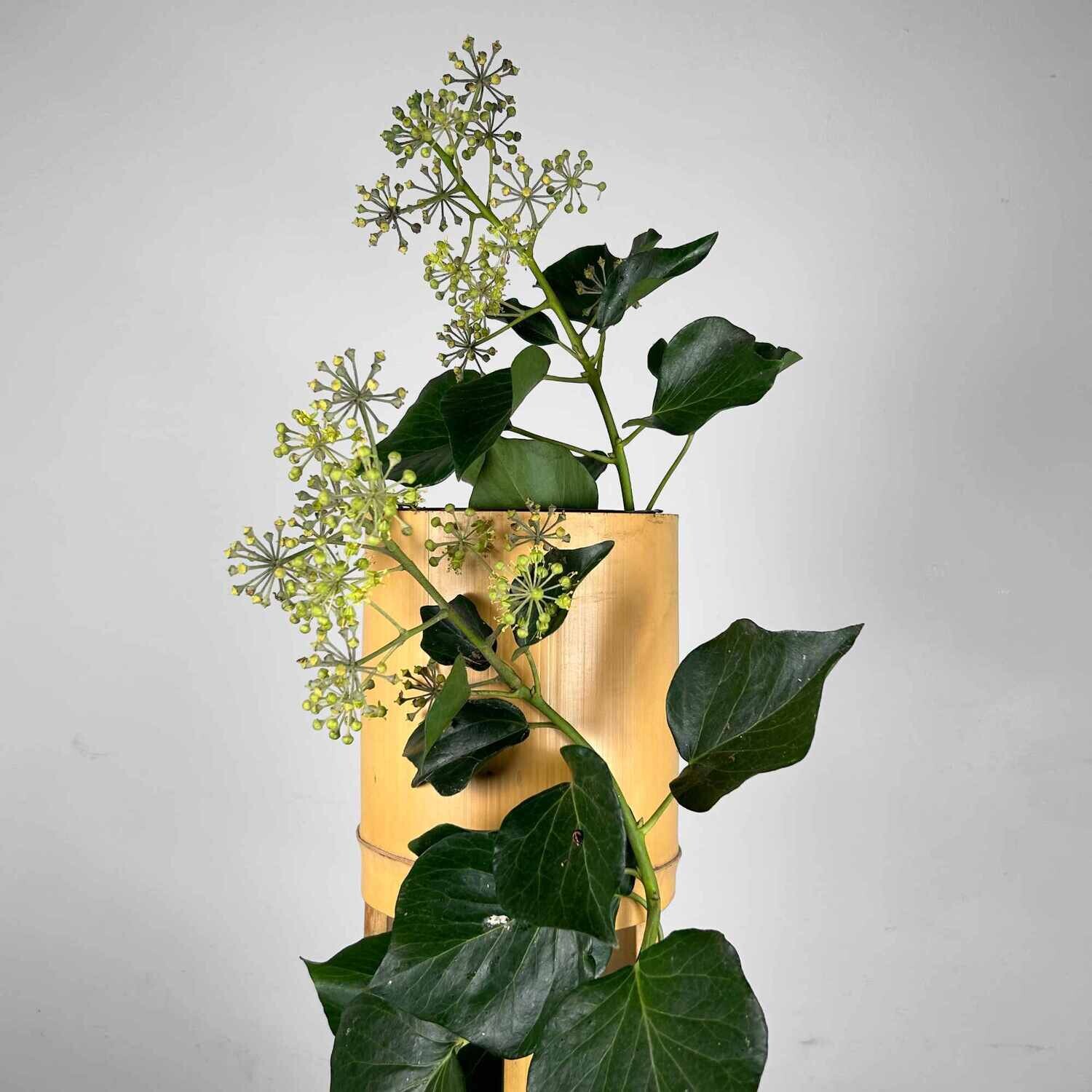 Mid Century Bamboo Ikebana 'San-Ju-Giri' Vase, Circa 1950s, Japan