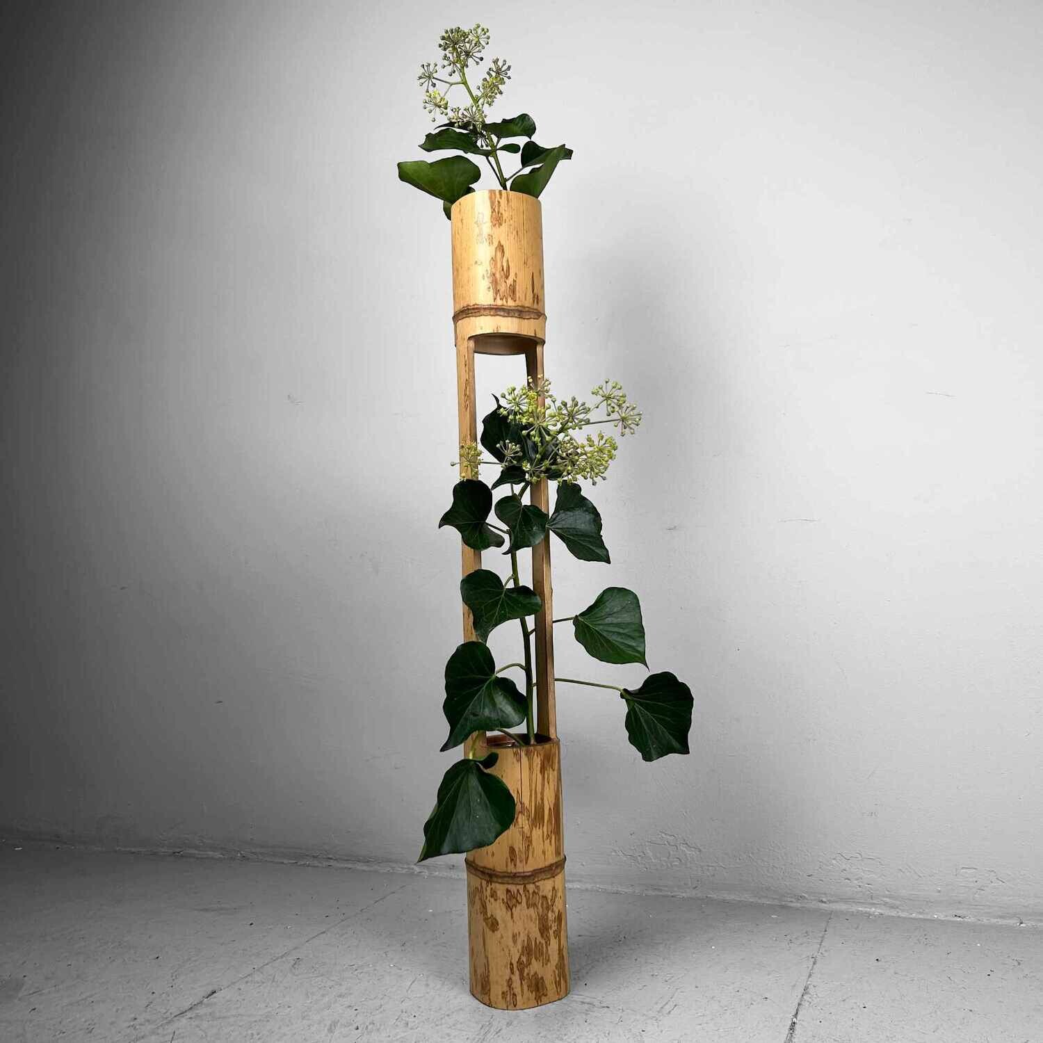 Mid Century Bamboo Ikebana 'Ni-Ju-Giri' Vase, Circa 1950s, Japan