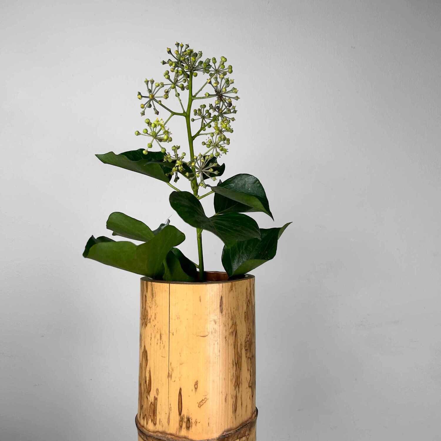 Mid Century Bamboo Ikebana 'Ni-Ju-Giri' Vase, Circa 1950s, Japan