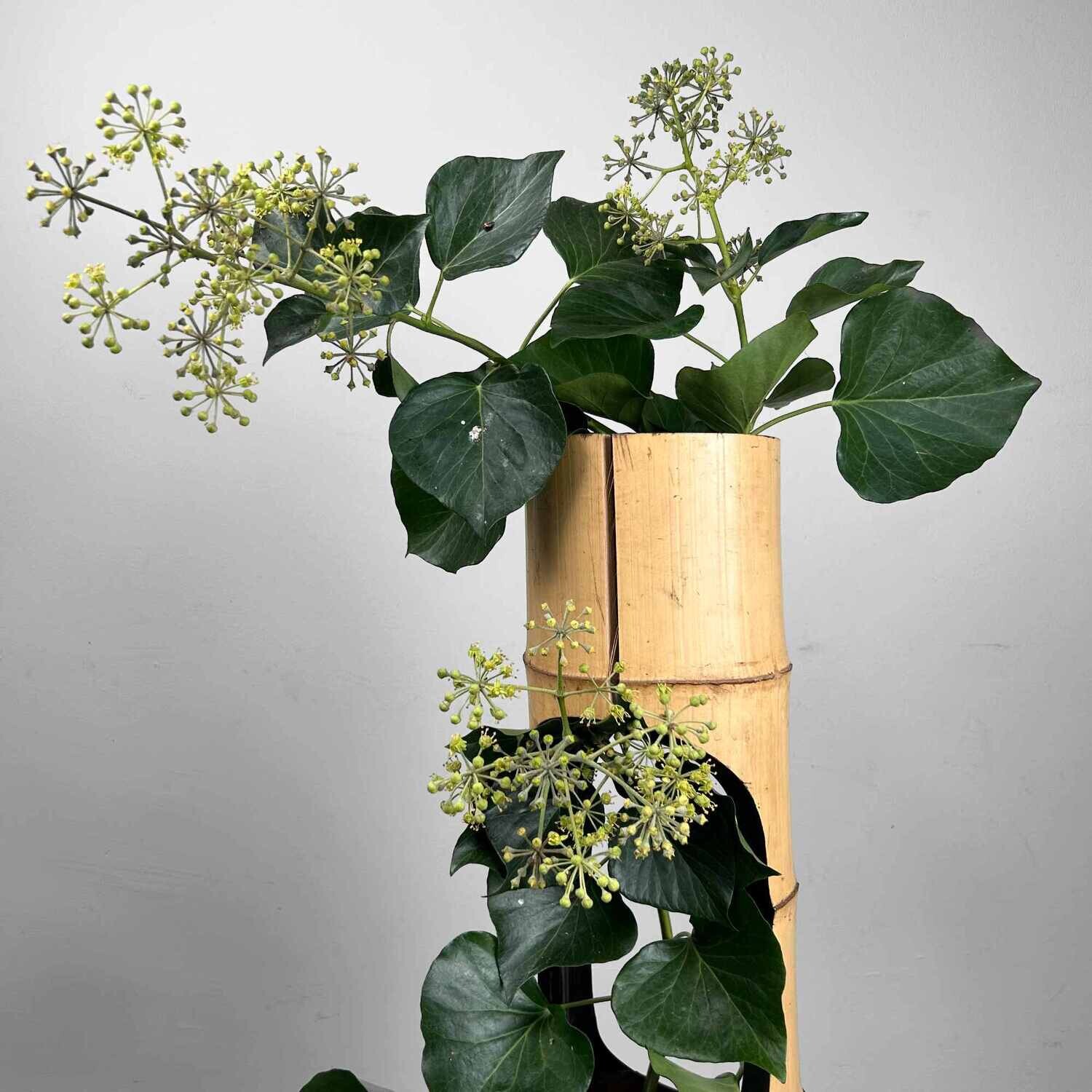Mid Century Bamboo Ikebana 'Ni-Ju-Giri' Vase, Circa 1950s, Japan