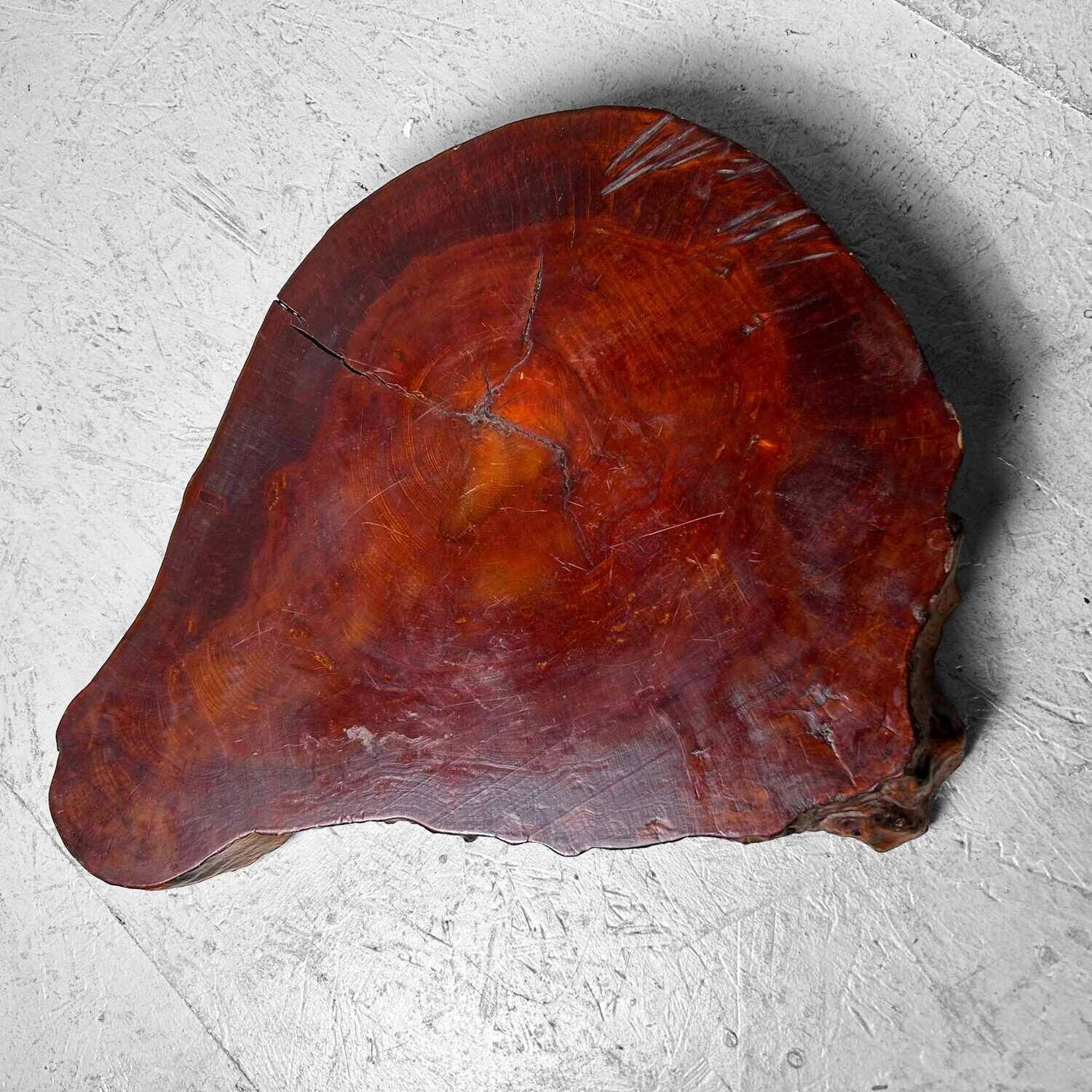 Yakusugi (屋久杉) Wooden Display, Japan, 1950s.