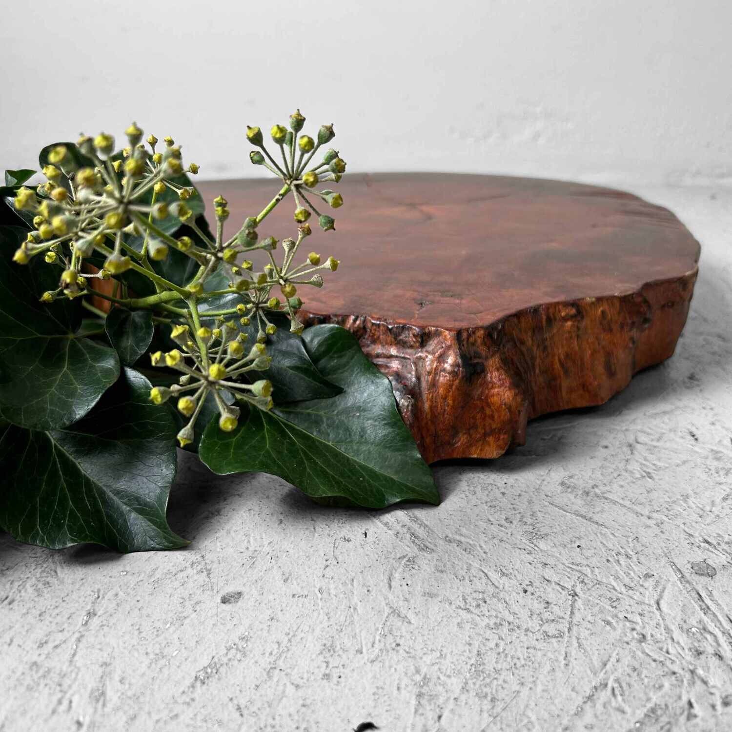 Yakusugi (屋久杉) Wooden Display, Japan, 1950s.