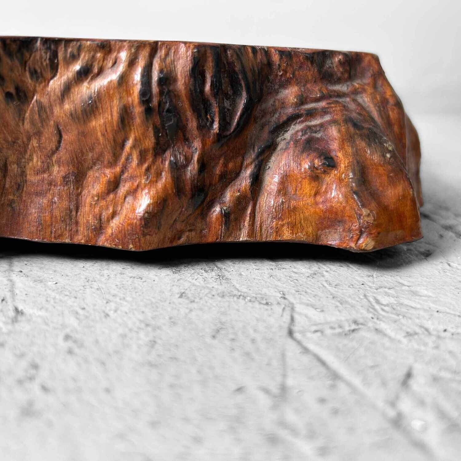 Yakusugi (屋久杉) Wooden Display, Japan, 1950s.