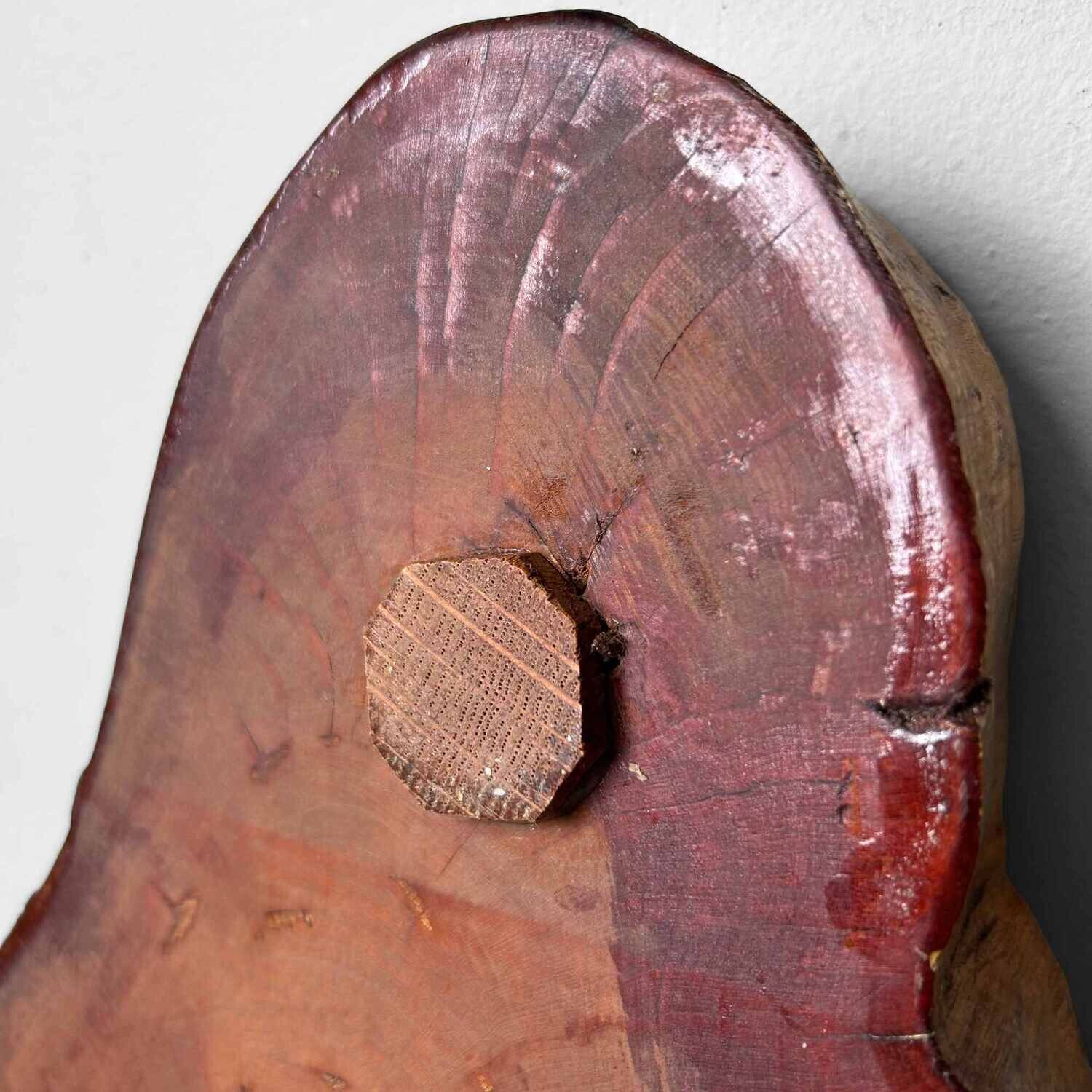 Yakusugi (屋久杉) Wooden Display, Japan, 1950s.