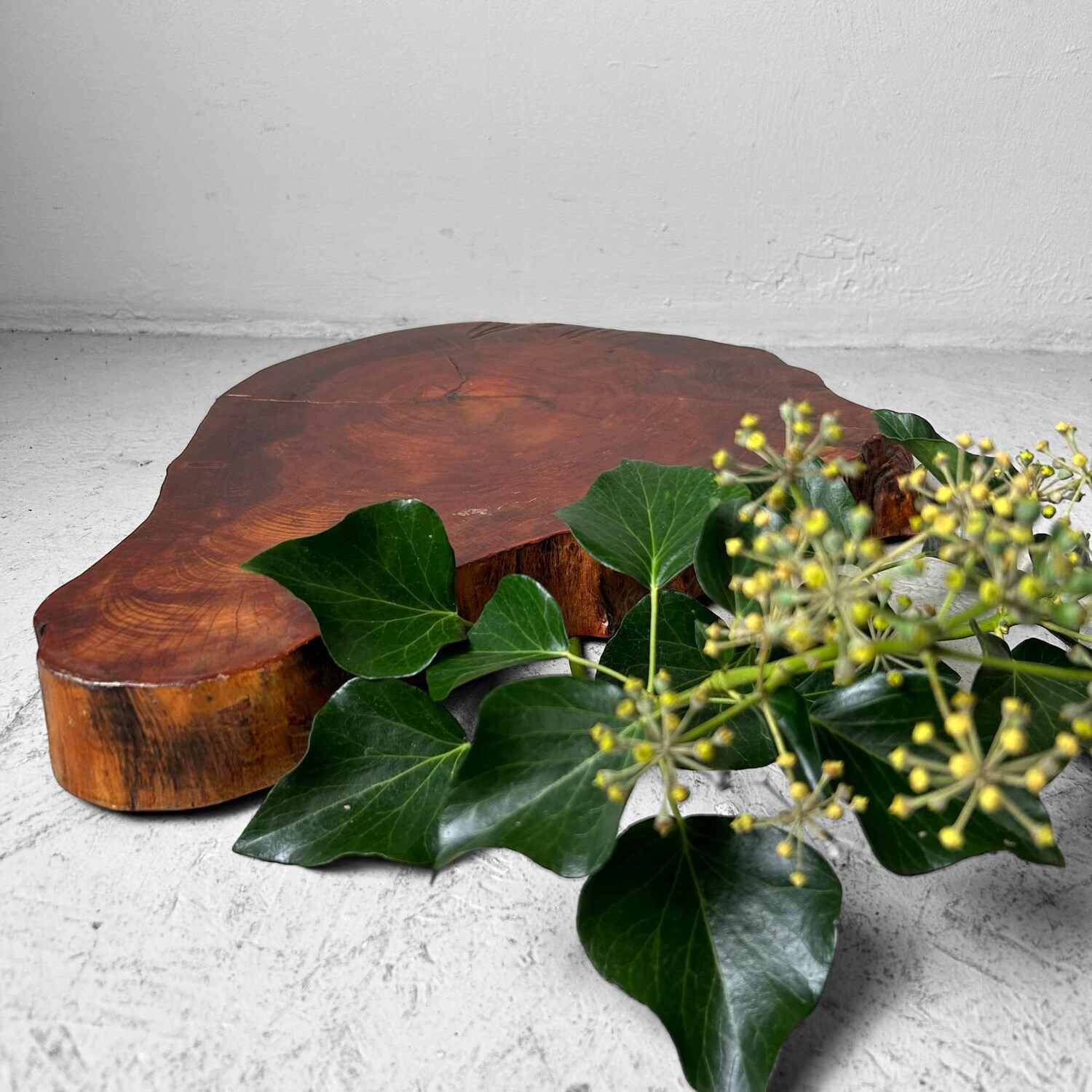 Yakusugi (屋久杉) Wooden Display, Japan, 1950s.