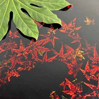 Mid Century Maple Leaf Dienblad, Japan.