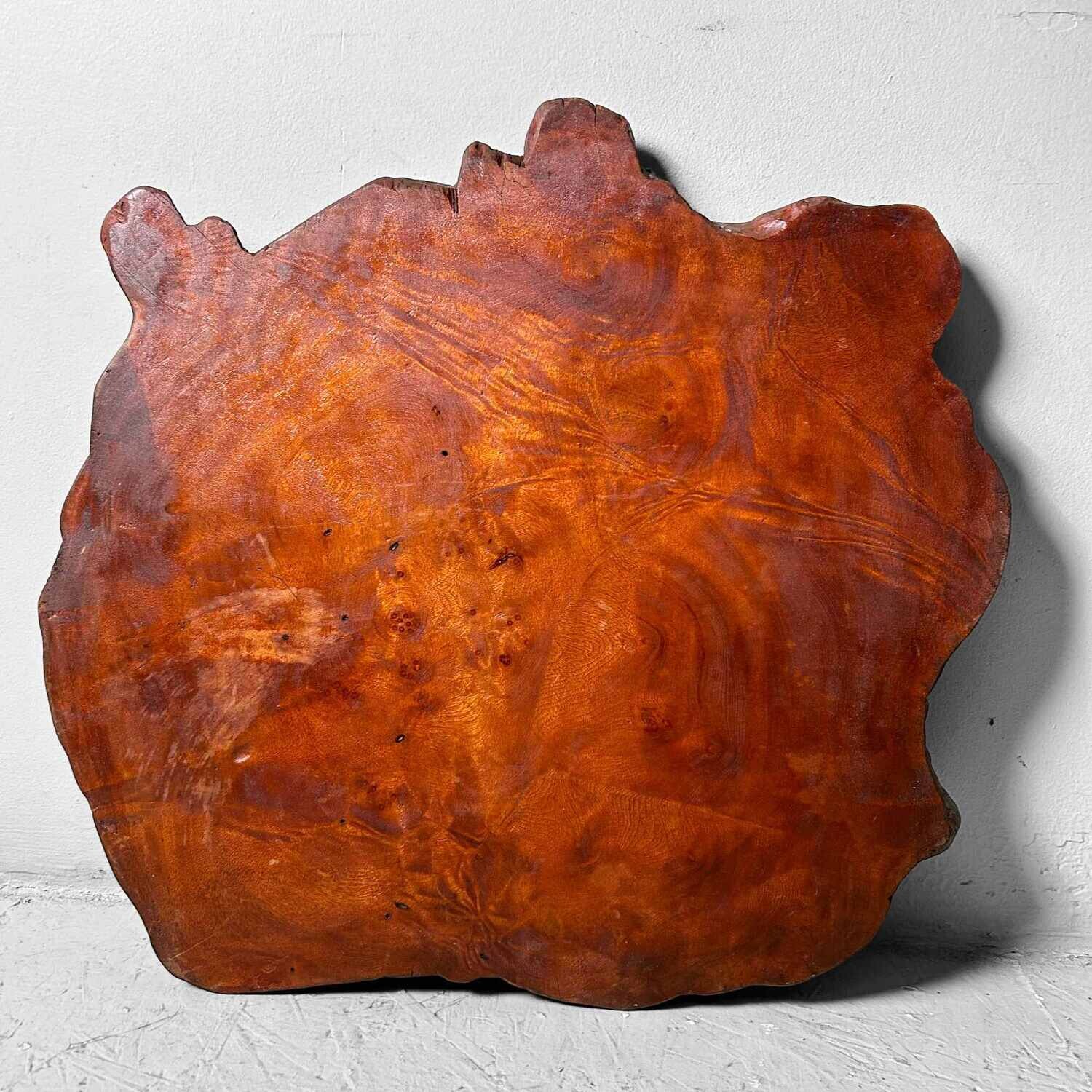 Yakusugi (屋久杉) Houten Display, Taishō, Japan. Yakusugi (屋久杉) Houten Display, Taishō, Japan.