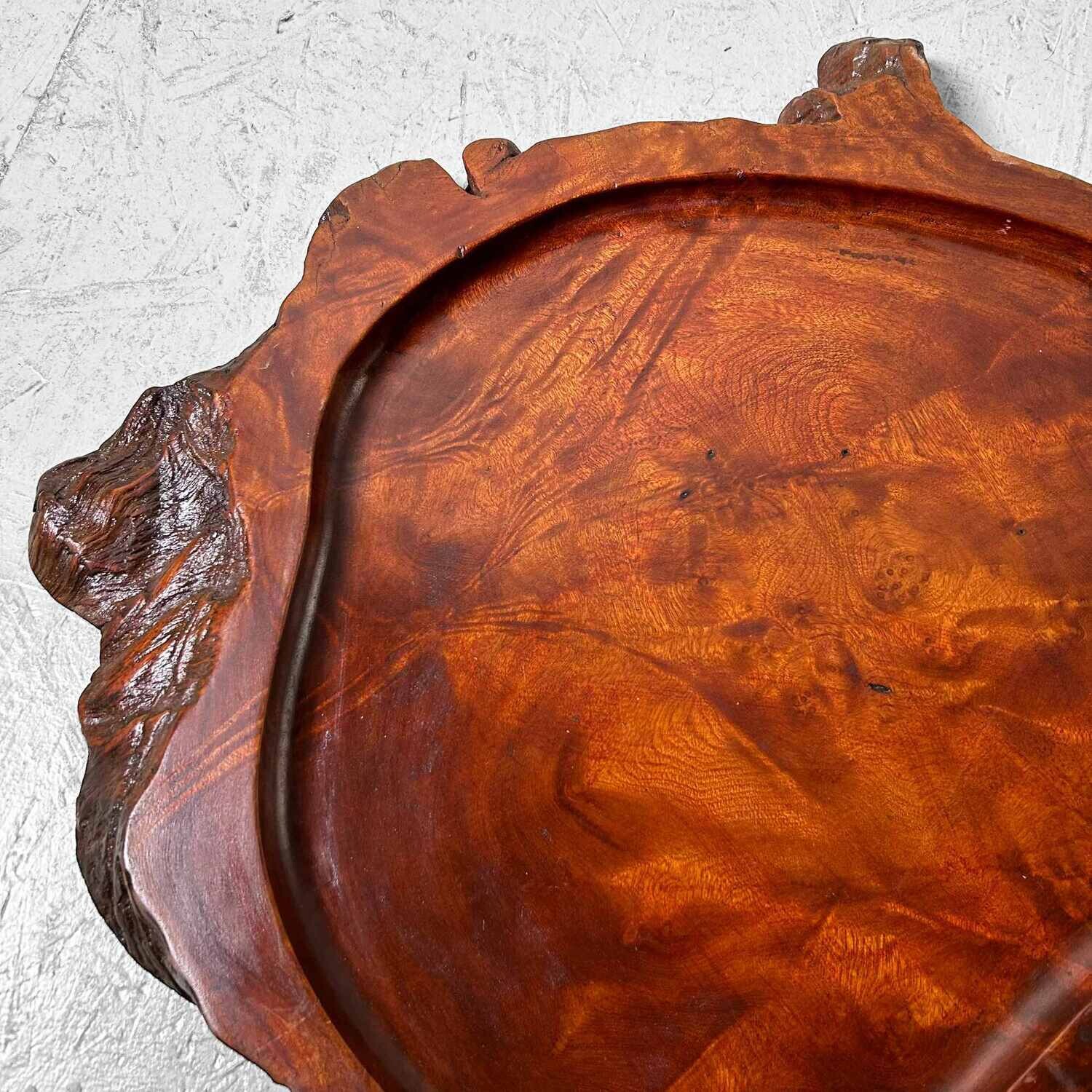 Yakusugi (屋久杉) Houten Display, Taishō, Japan. Yakusugi (屋久杉) Houten Display, Taishō, Japan.