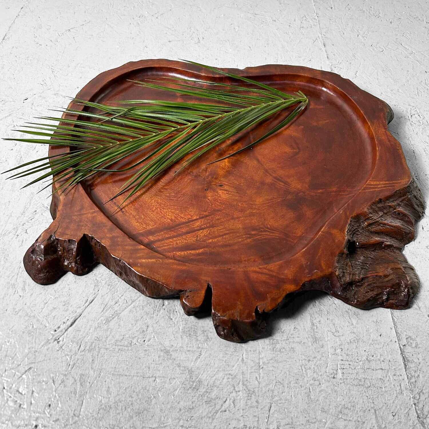 Yakusugi (屋久杉) Houten Display, Taishō, Japan. Yakusugi (屋久杉) Houten Display, Taishō, Japan.