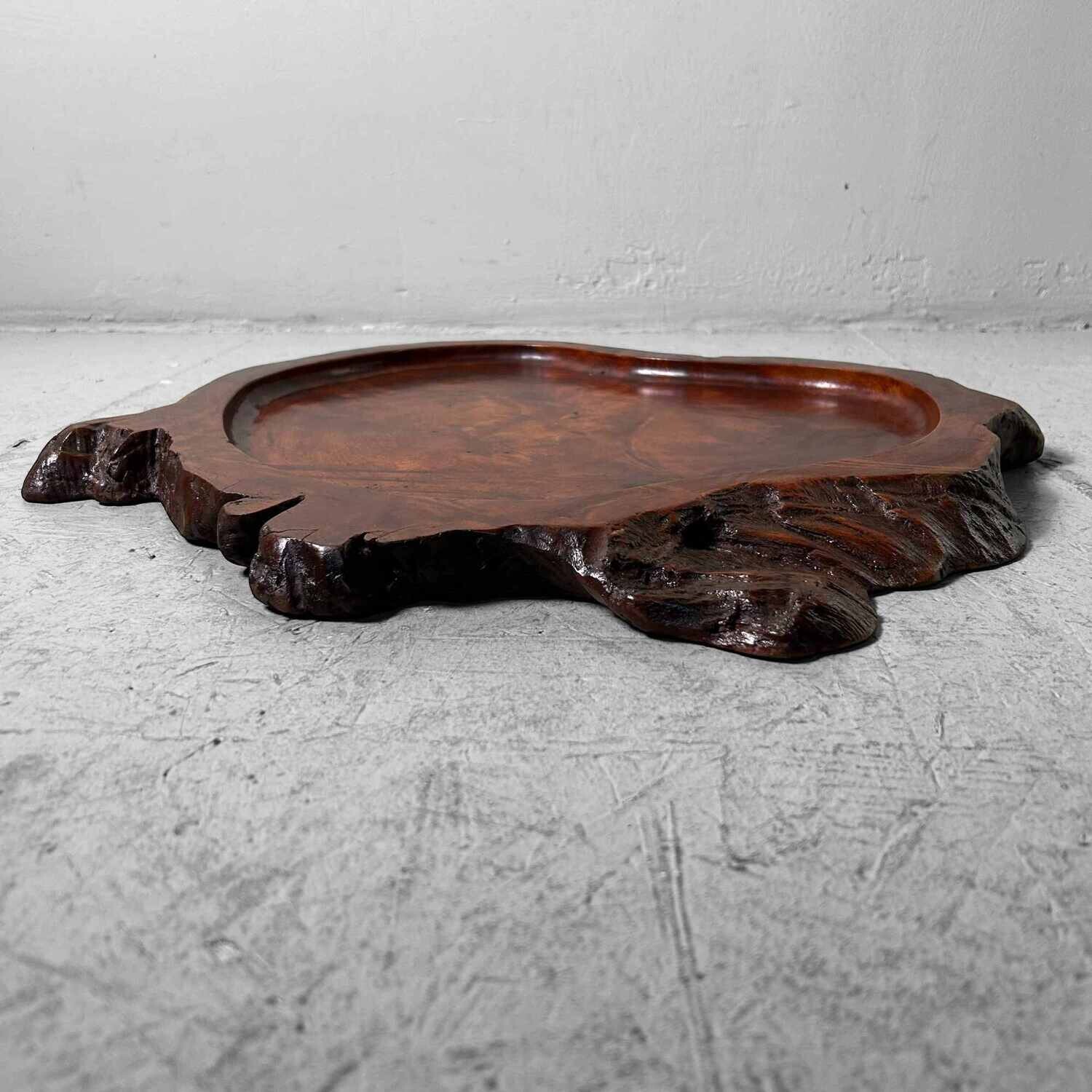 Yakusugi (屋久杉) Houten Display, Taishō, Japan. Yakusugi (屋久杉) Houten Display, Taishō, Japan.