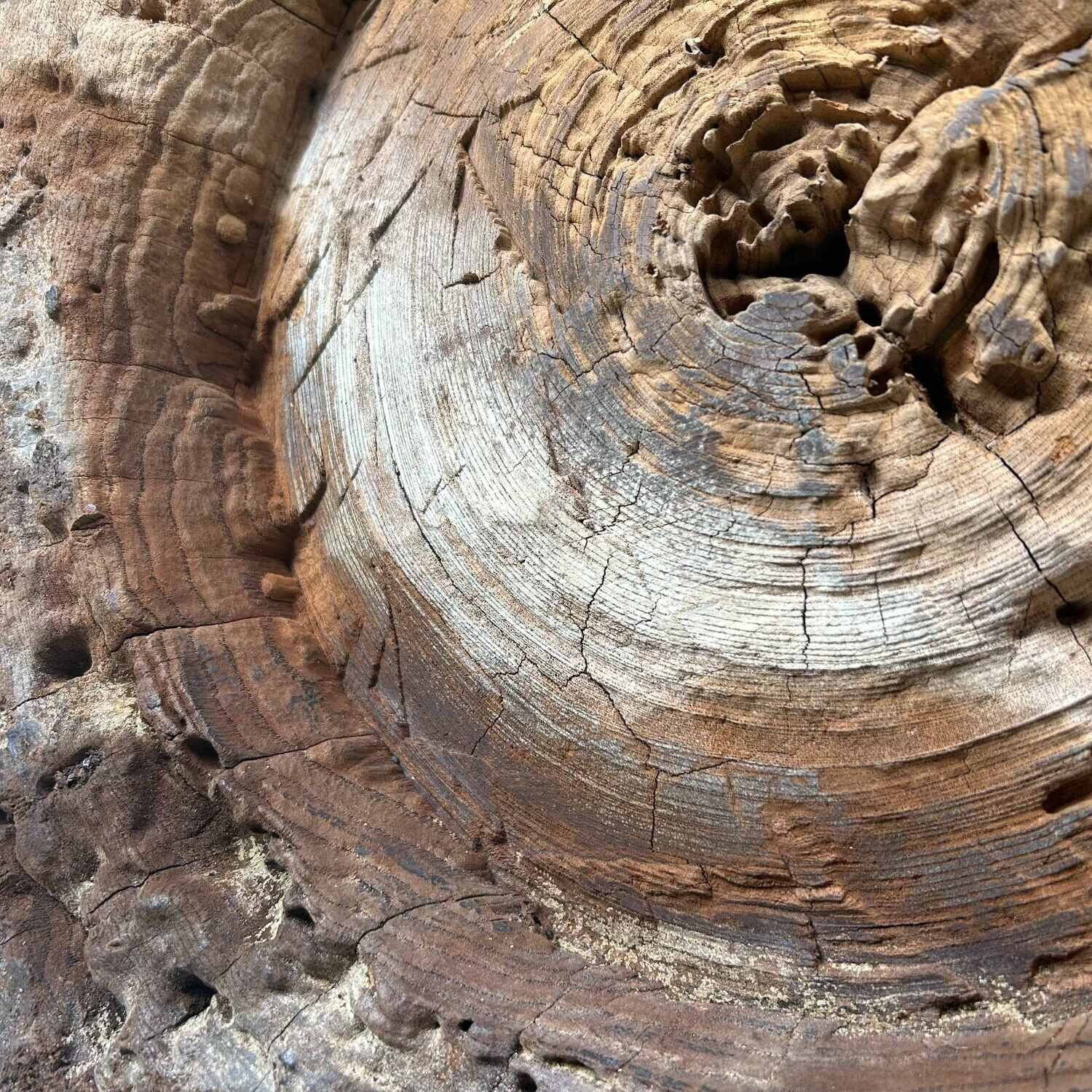 Japanese Mochi-Pounding Pestle, Antique Rice Mortar, late Meiji Period.