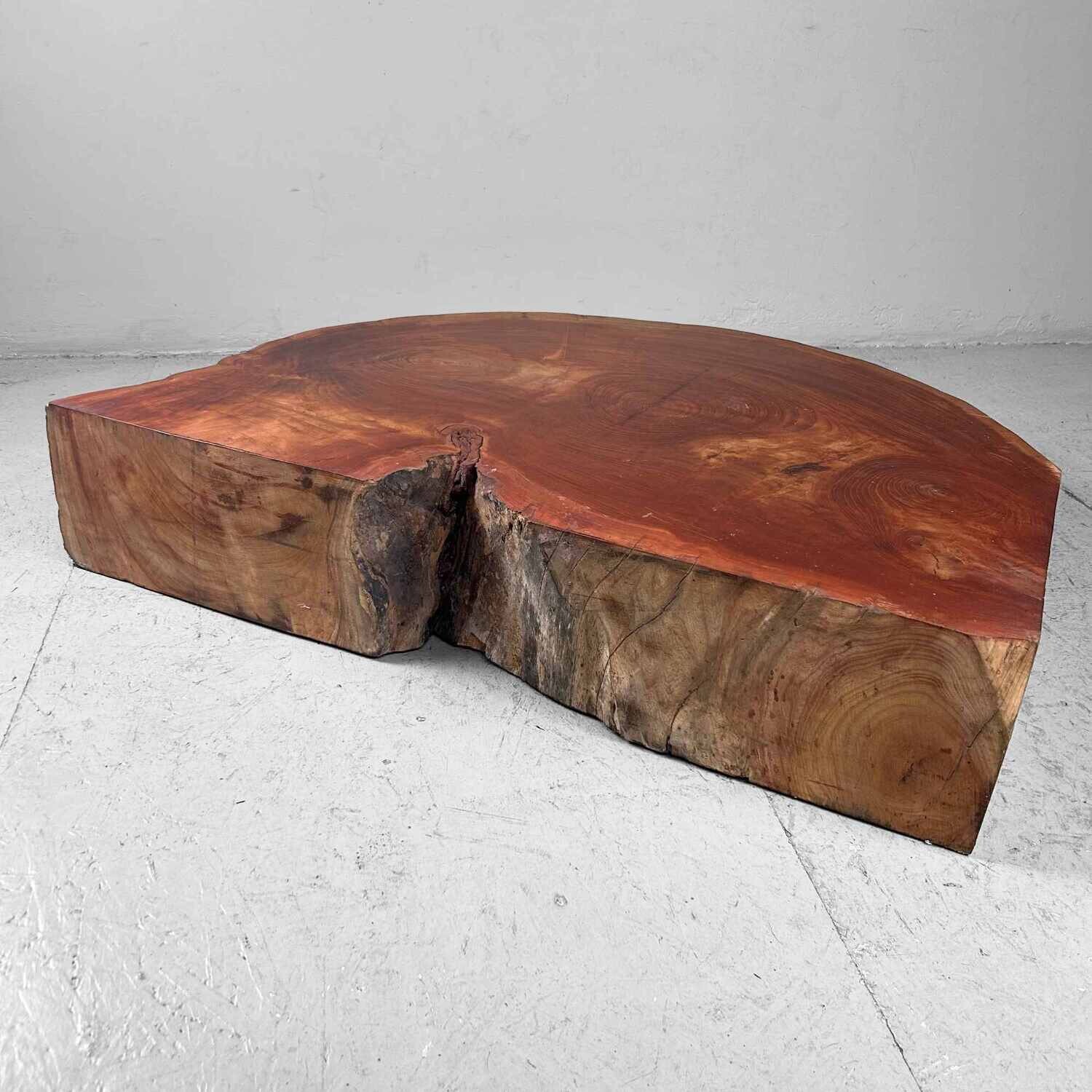 Grote Yakusugi (屋久杉​) Houten Boomstam Display, Japan, jaren '50.