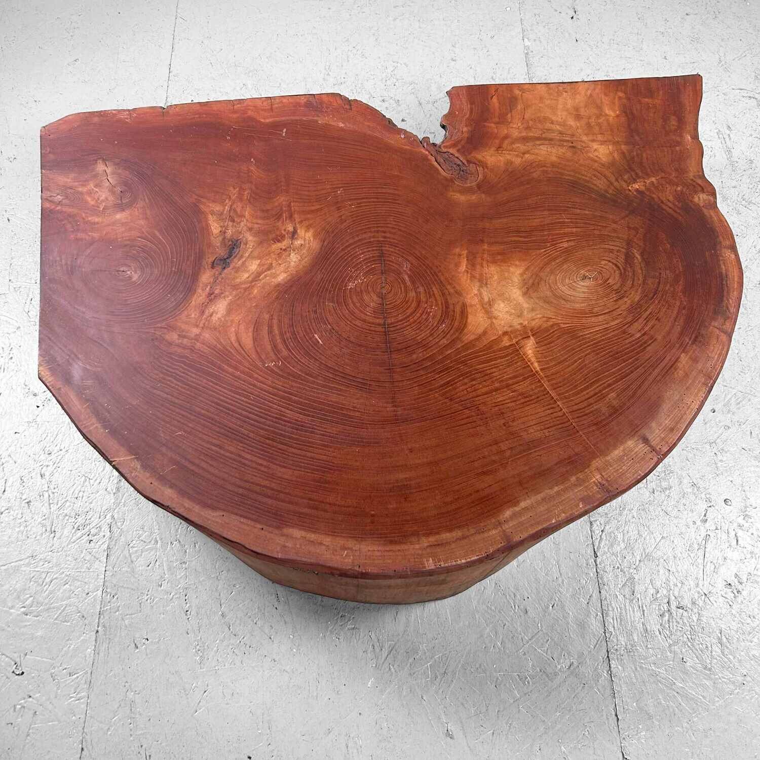 Grote Yakusugi (屋久杉​) Houten Boomstam Display, Japan, jaren '50.