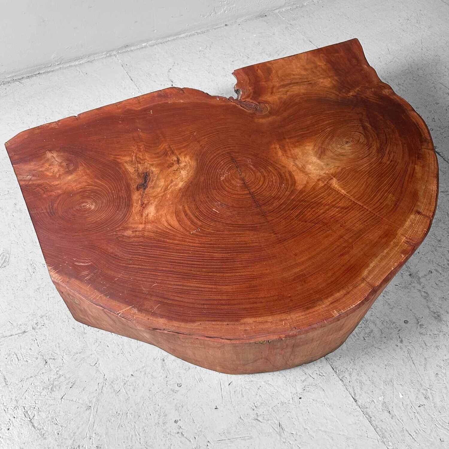 Grote Yakusugi (屋久杉​) Houten Boomstam Display, Japan, jaren '50.