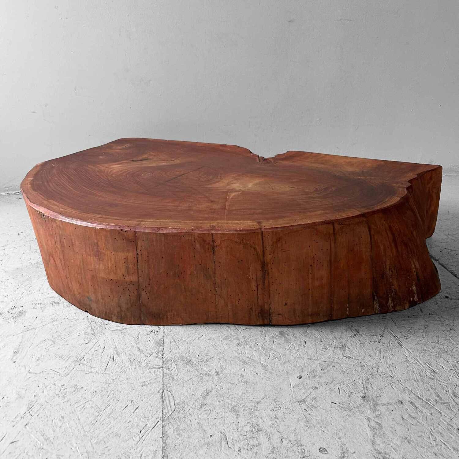 Grote Yakusugi (屋久杉​) Houten Boomstam Display, Japan, jaren '50.