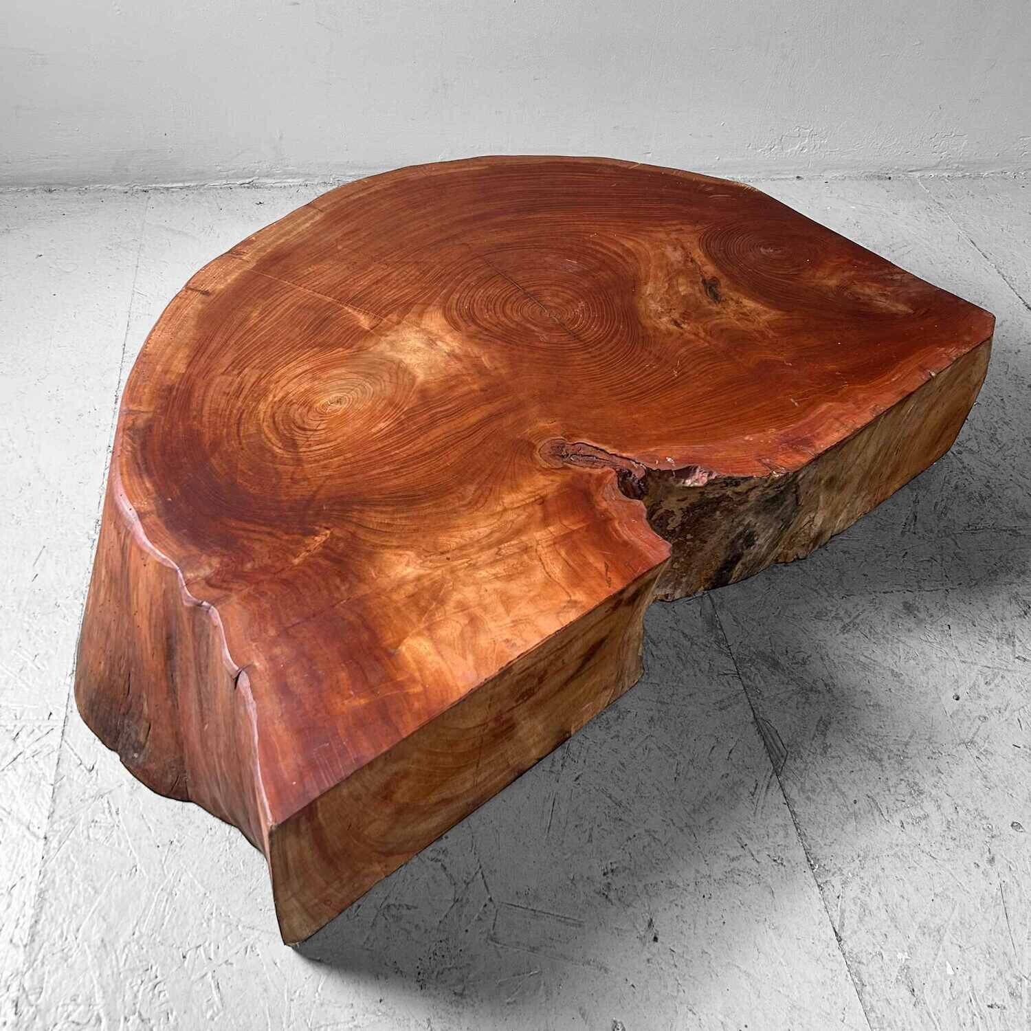 Grote Yakusugi (屋久杉​) Houten Boomstam Display, Japan, jaren '50.