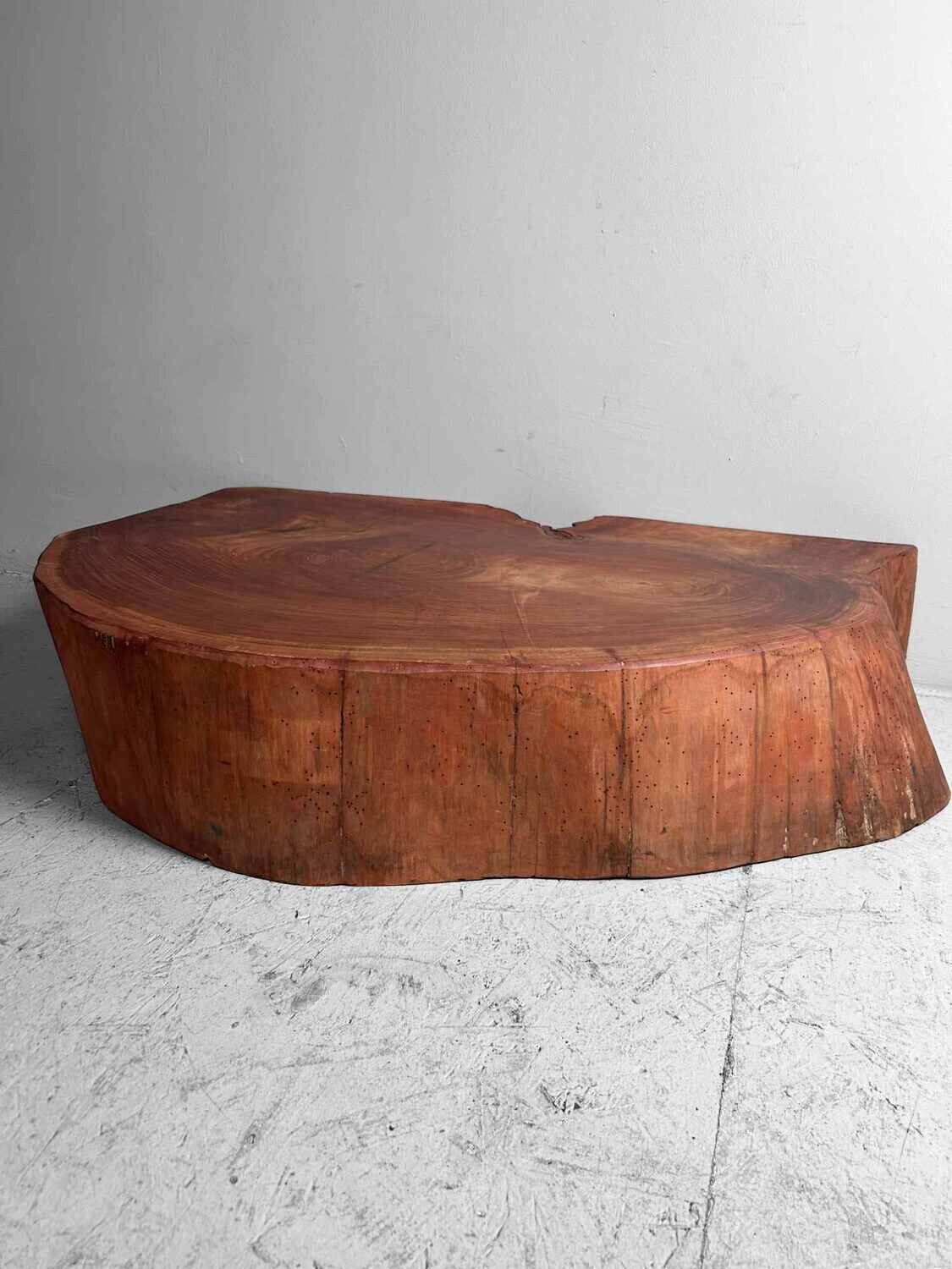 Grote Yakusugi (屋久杉​) Houten Boomstam Display, Japan, jaren '50.