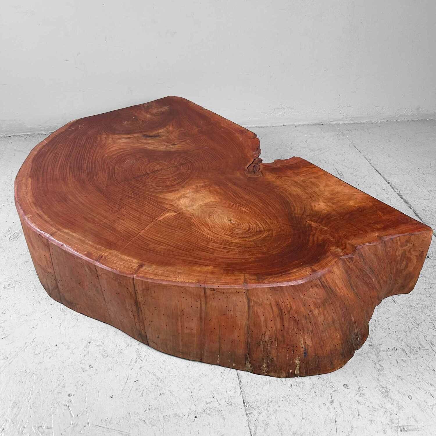 Grote Yakusugi (屋久杉​) Houten Boomstam Display, Japan, jaren '50.