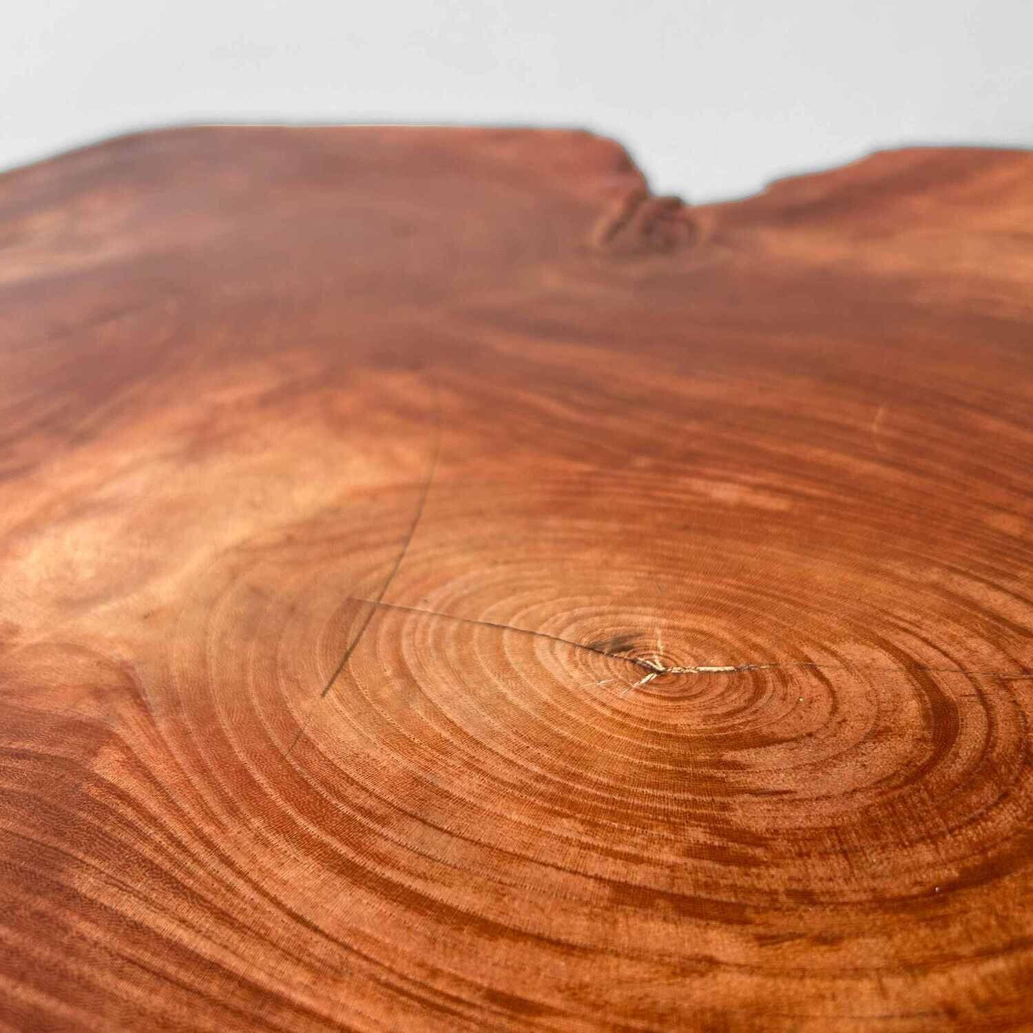 Grote Yakusugi (屋久杉​) Houten Boomstam Display, Japan, jaren '50.