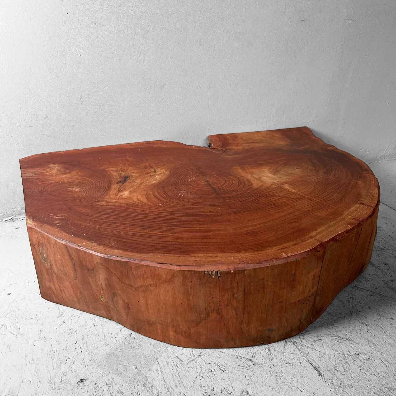 Grote Yakusugi (屋久杉​) Houten Boomstam Display, Japan, jaren '50.