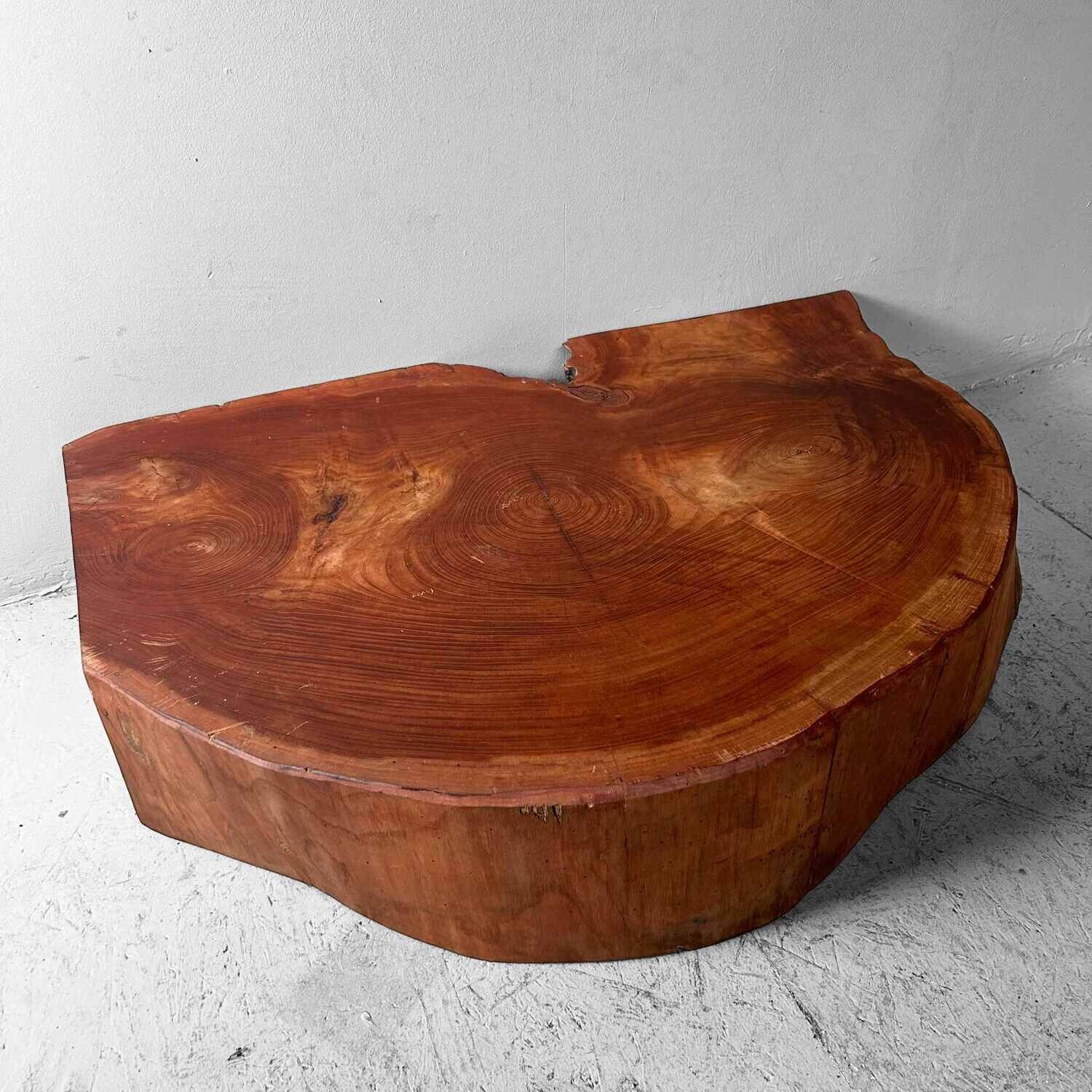 Grote Yakusugi (屋久杉​) Houten Boomstam Display, Japan, jaren '50.