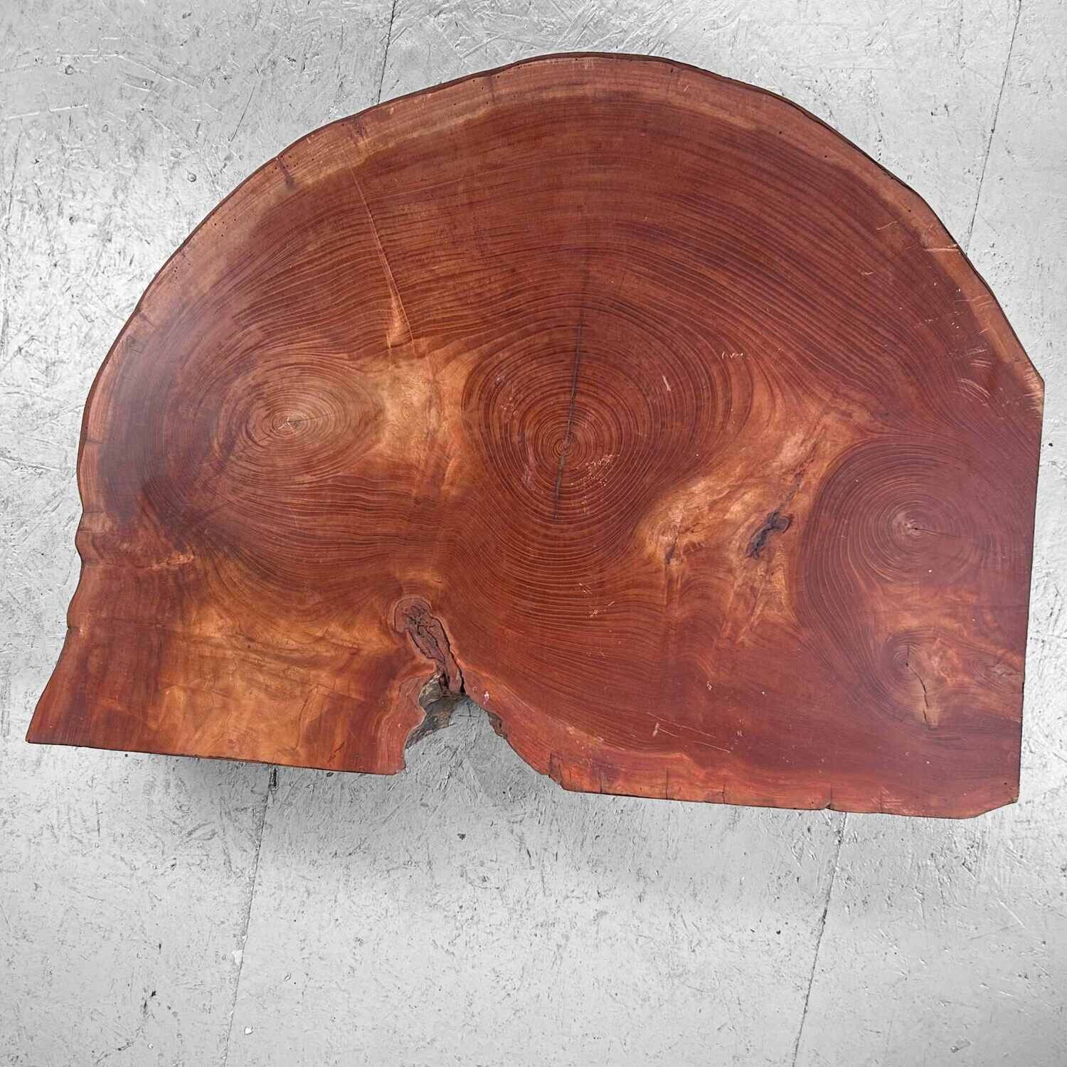 Grote Yakusugi (屋久杉​) Houten Boomstam Display, Japan, jaren '50.