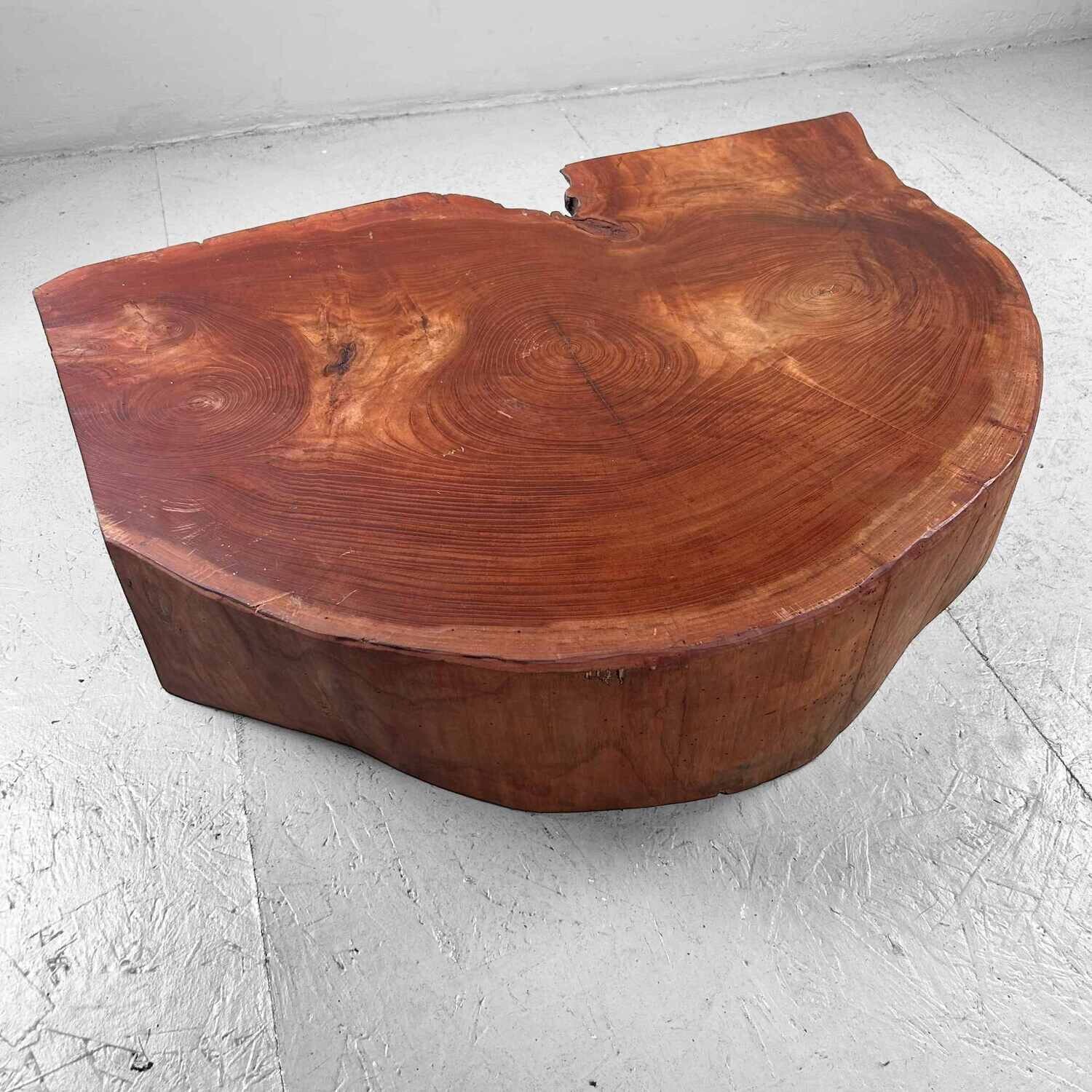 Grote Yakusugi (屋久杉​) Houten Boomstam Display, Japan, jaren '50.