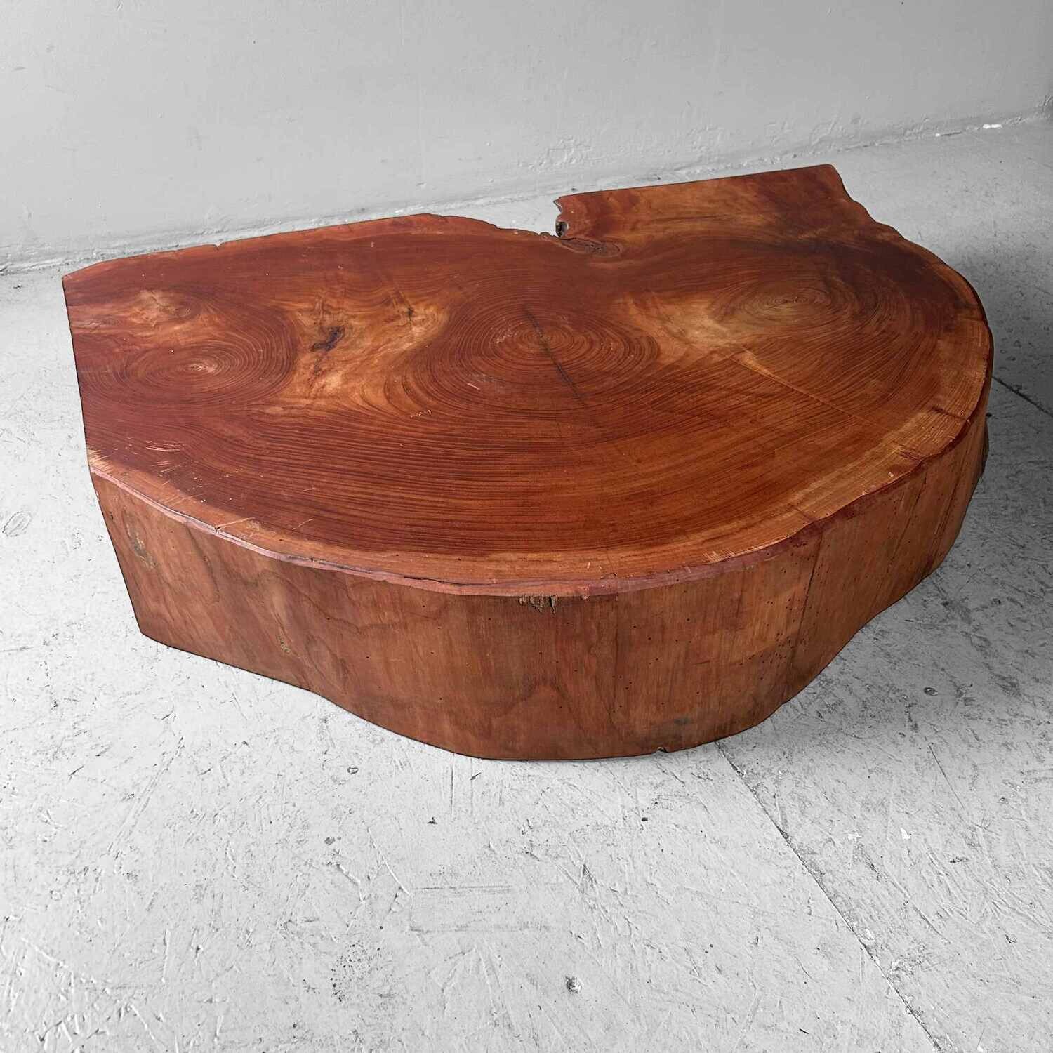 Grote Yakusugi (屋久杉​) Houten Boomstam Display, Japan, jaren '50.