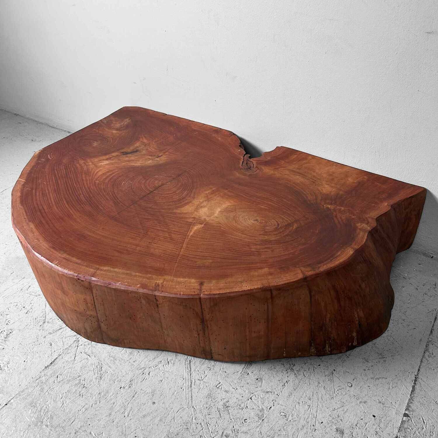 Grote Yakusugi (屋久杉​) Houten Boomstam Display, Japan, jaren '50.