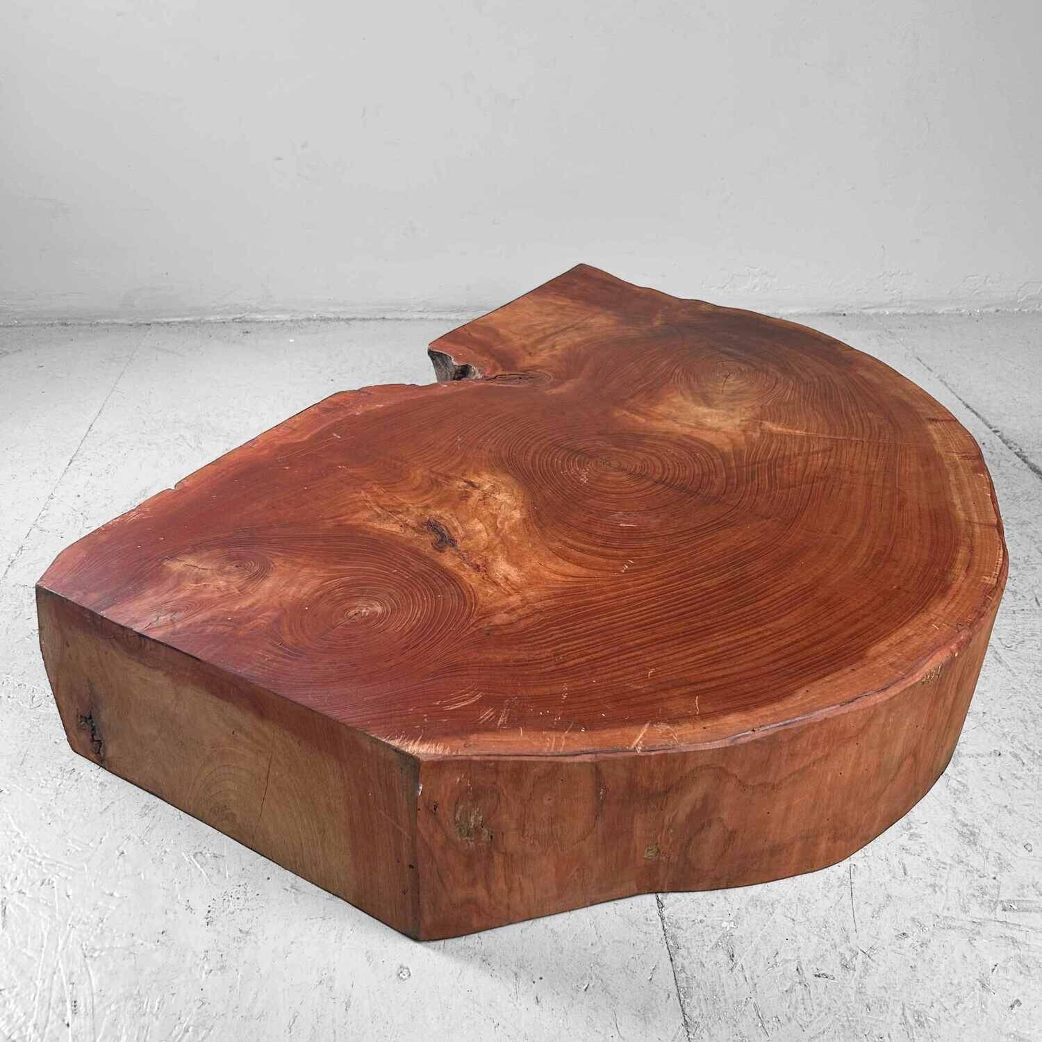 Grote Yakusugi (屋久杉​) Houten Boomstam Display, Japan, jaren '50.