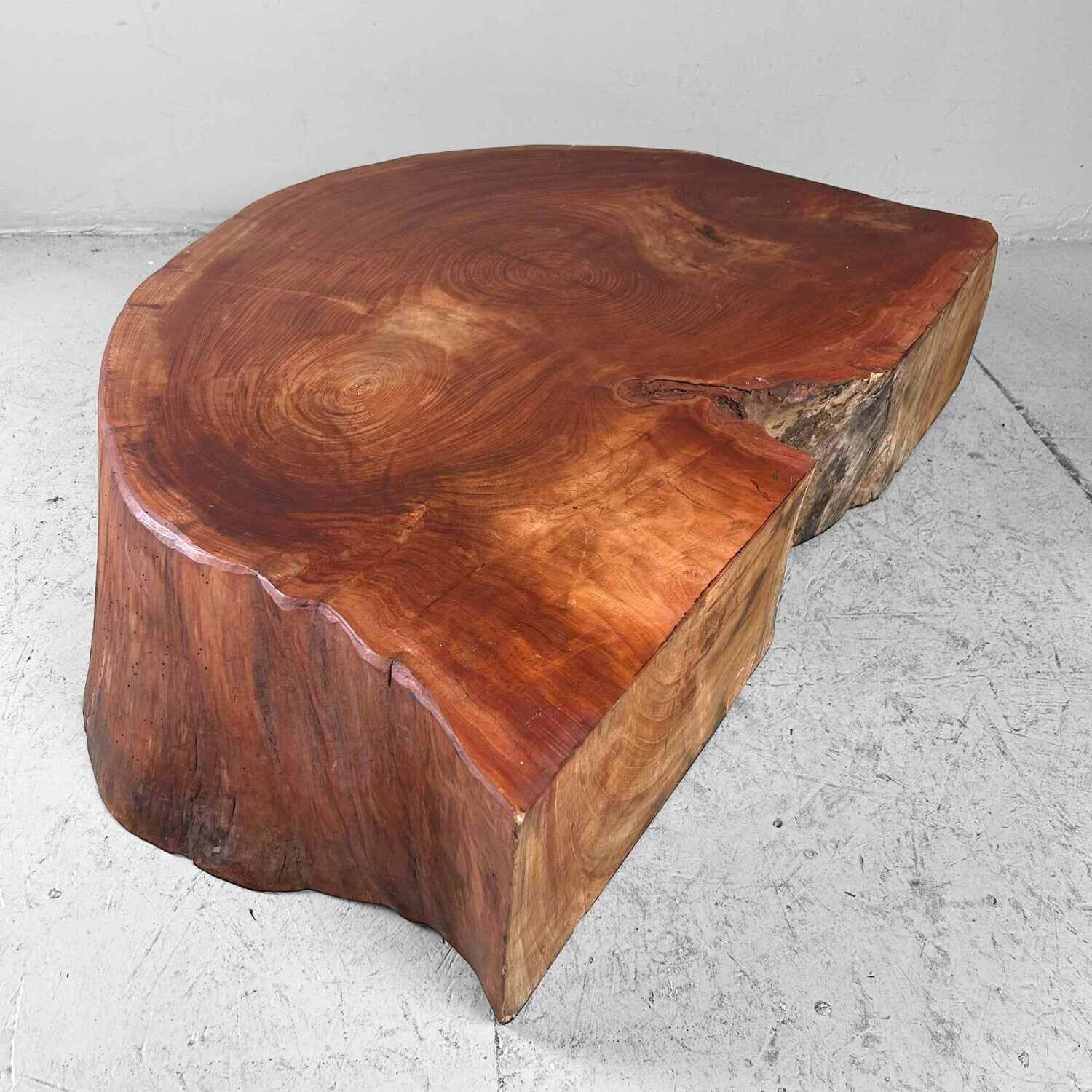 Grote Yakusugi (屋久杉​) Houten Boomstam Display, Japan, jaren '50.