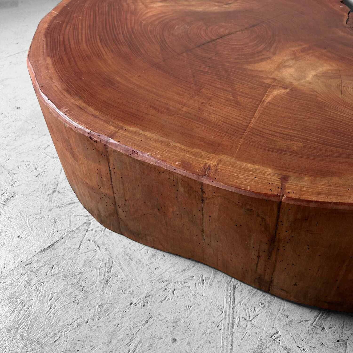 Grote Yakusugi (屋久杉​) Houten Boomstam Display, Japan, jaren '50.